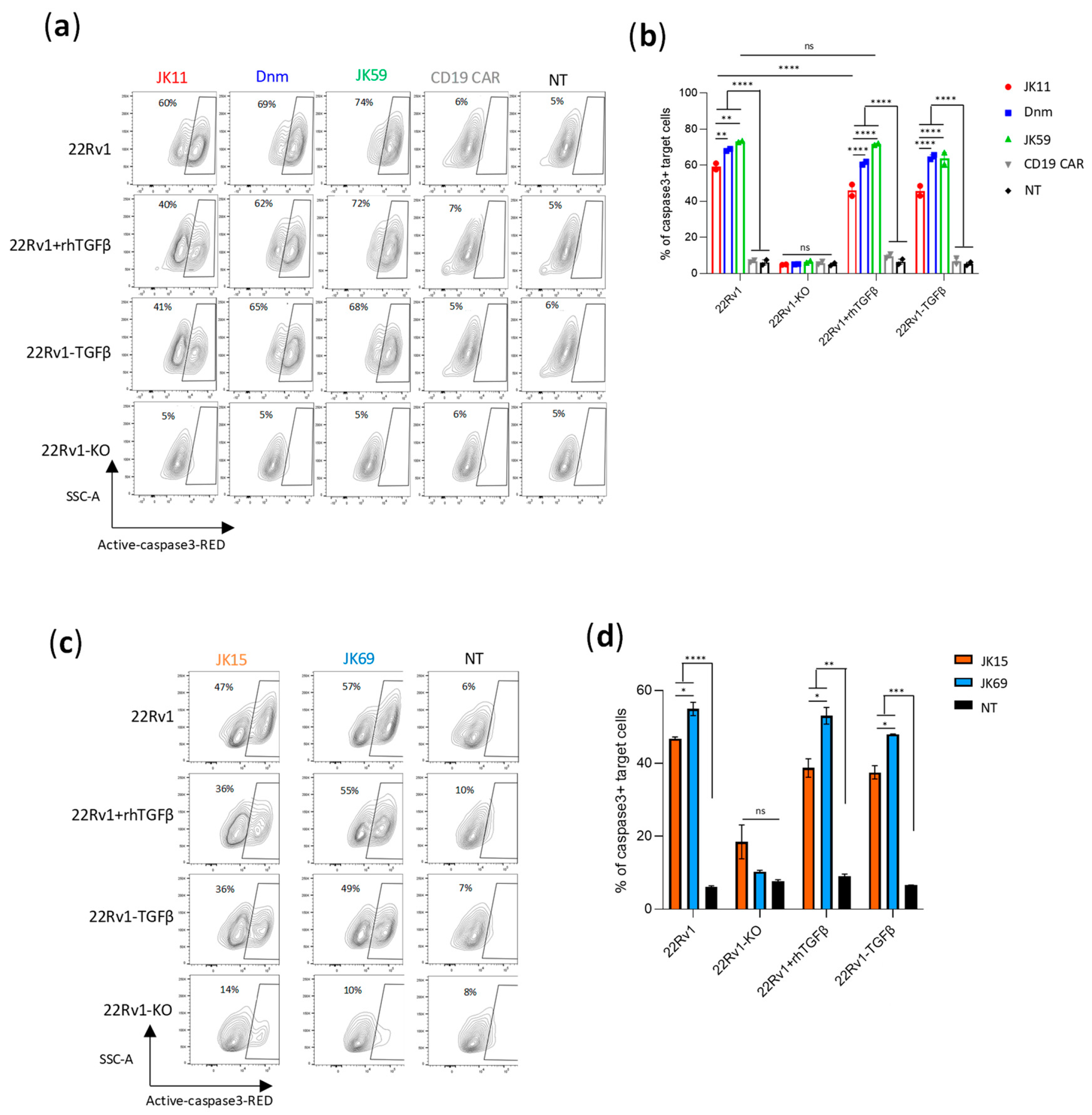 Biomedicines 11 00459 g003