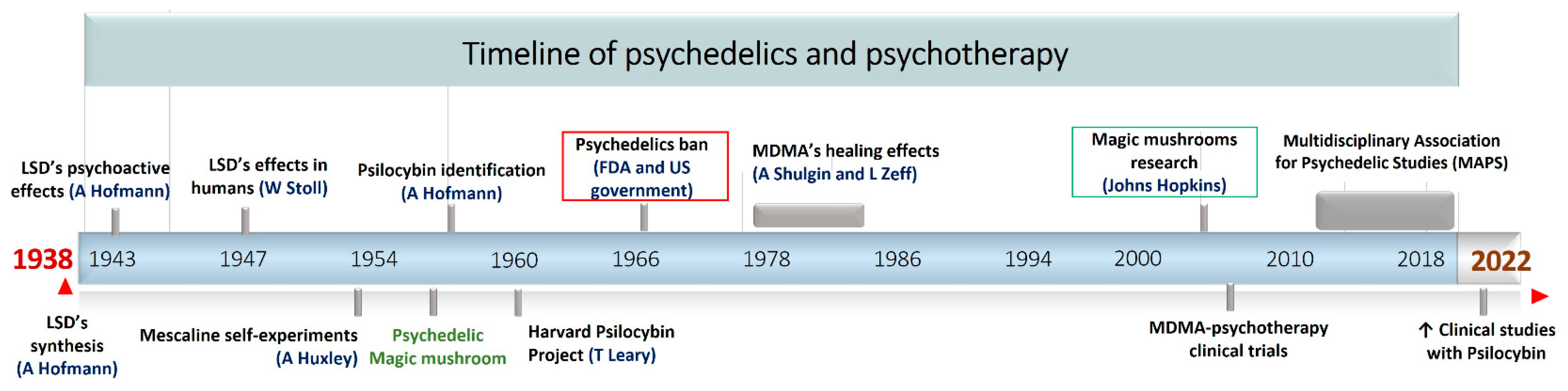 Biomedicines 11 00461 g001