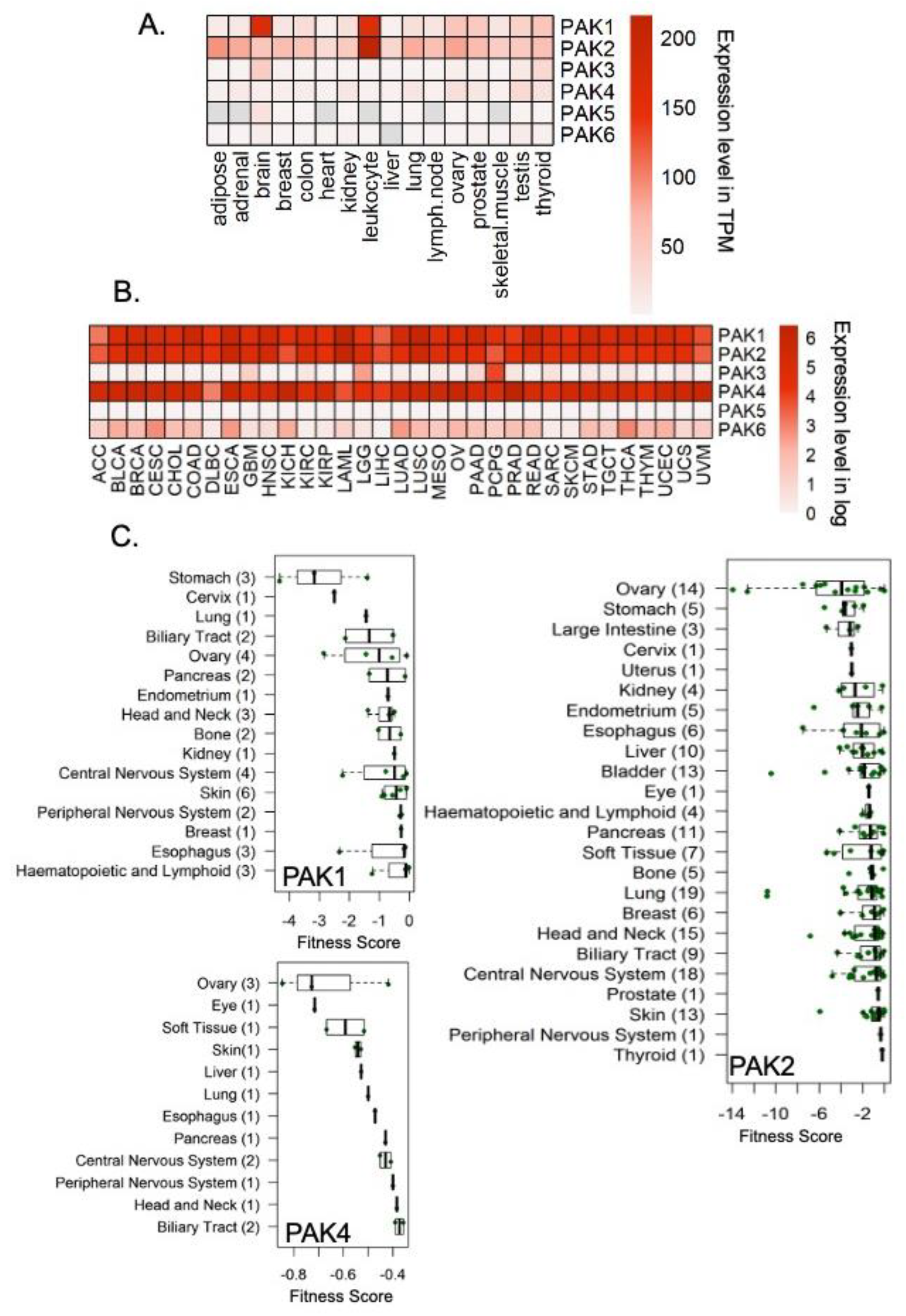 Biomedicines 11 00462 g001