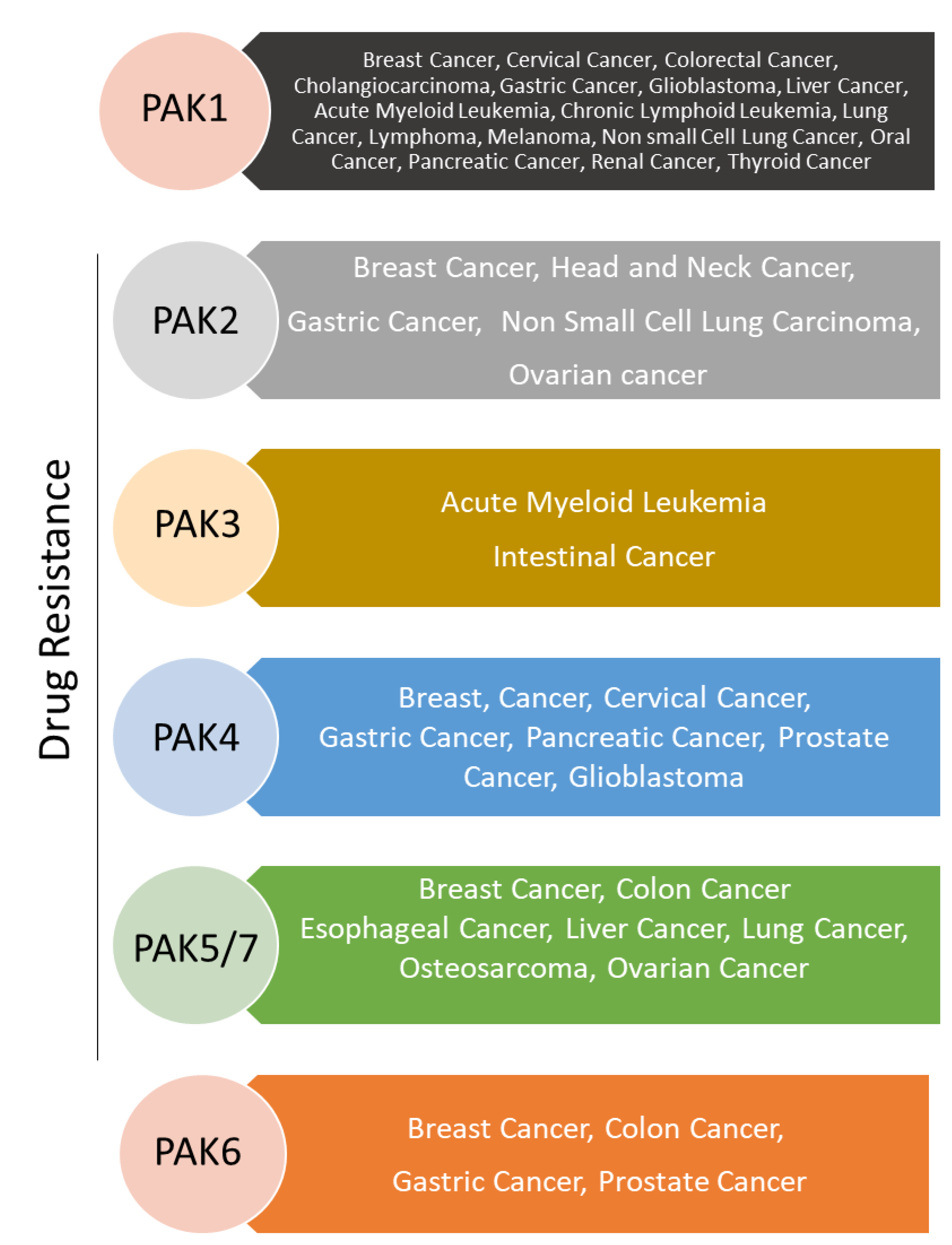Biomedicines 11 00462 g002