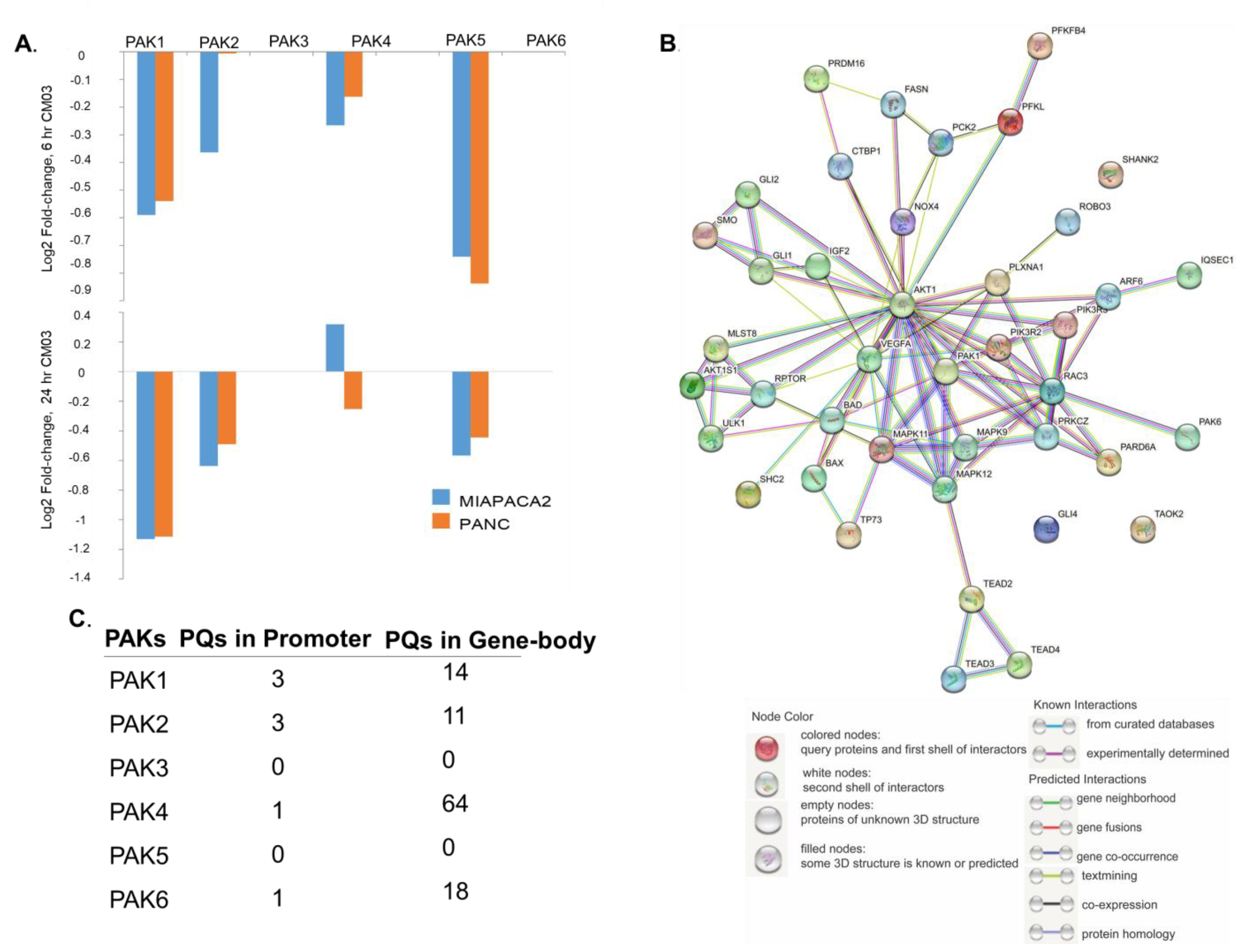 Biomedicines 11 00462 g004
