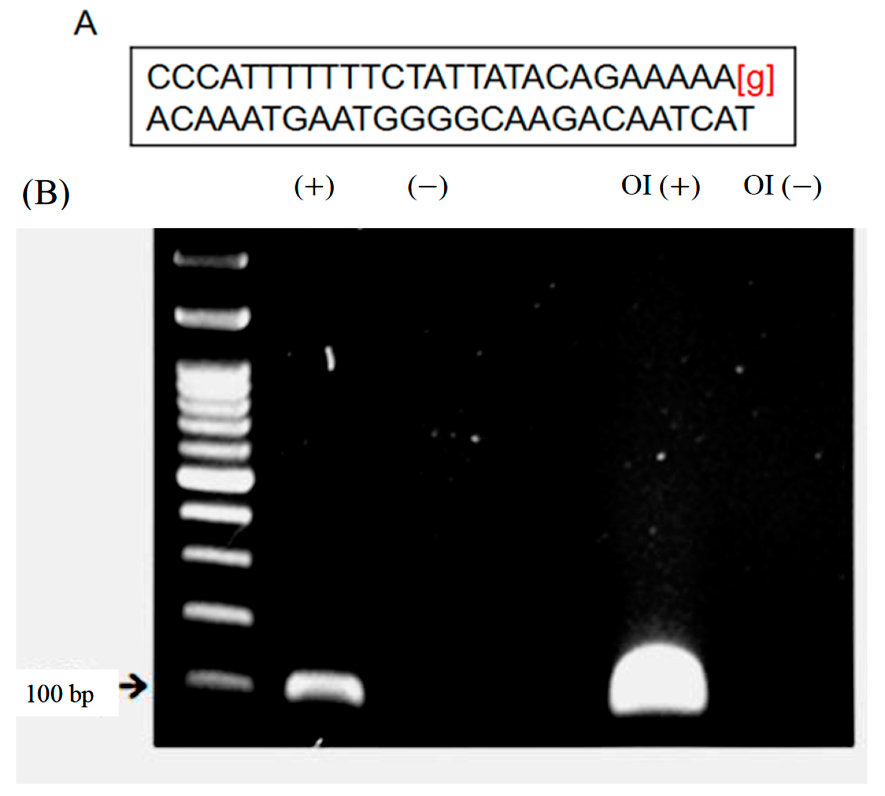 Biomedicines 11 00465 g001