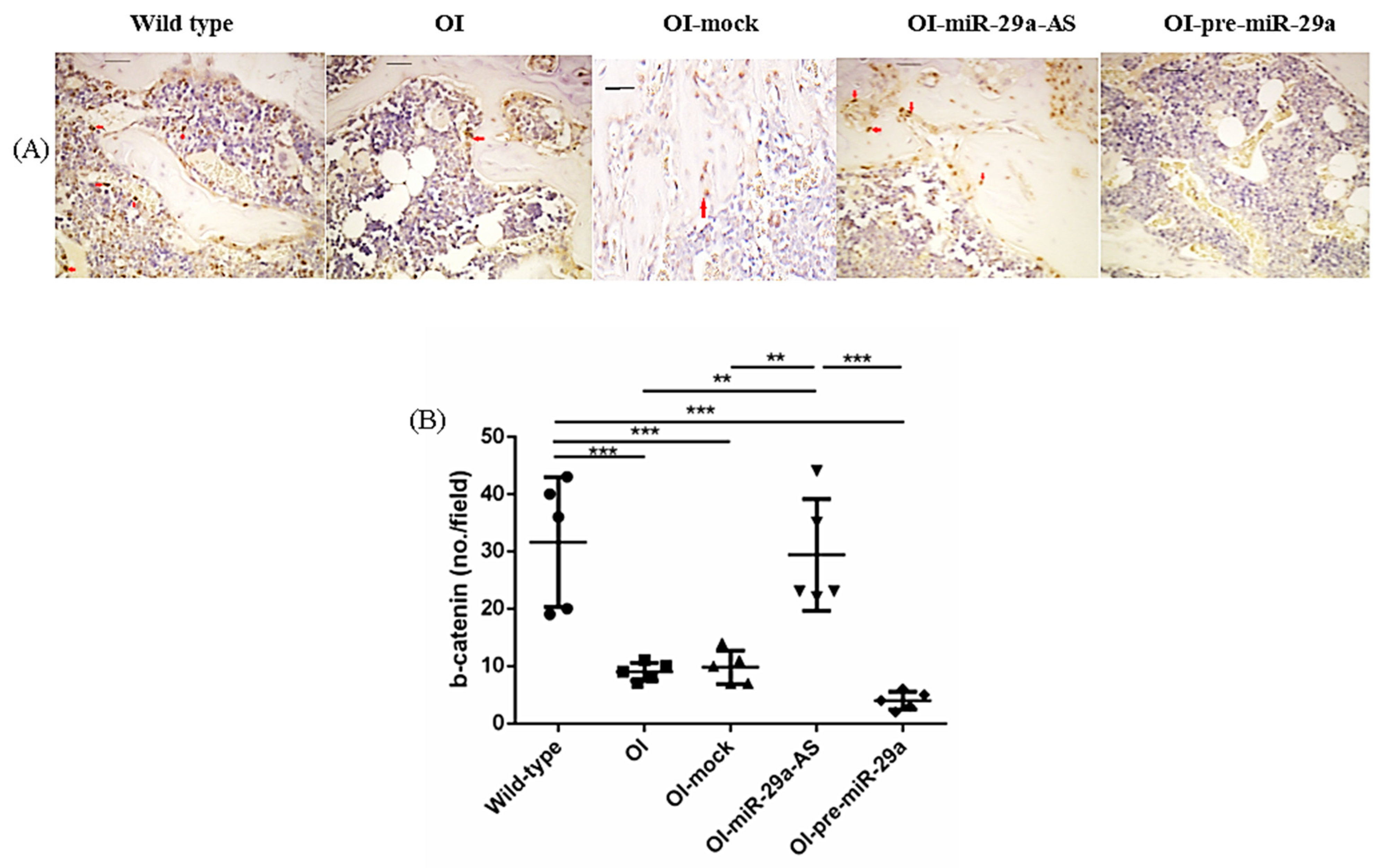 Biomedicines 11 00465 g009