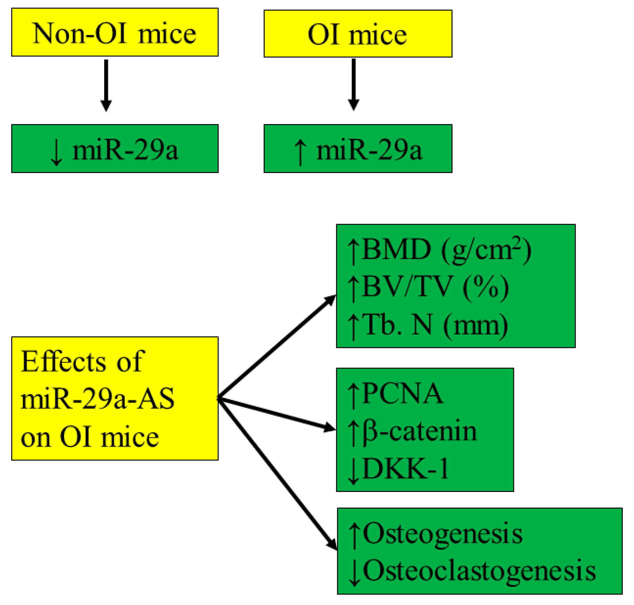 Biomedicines 11 00465 g015