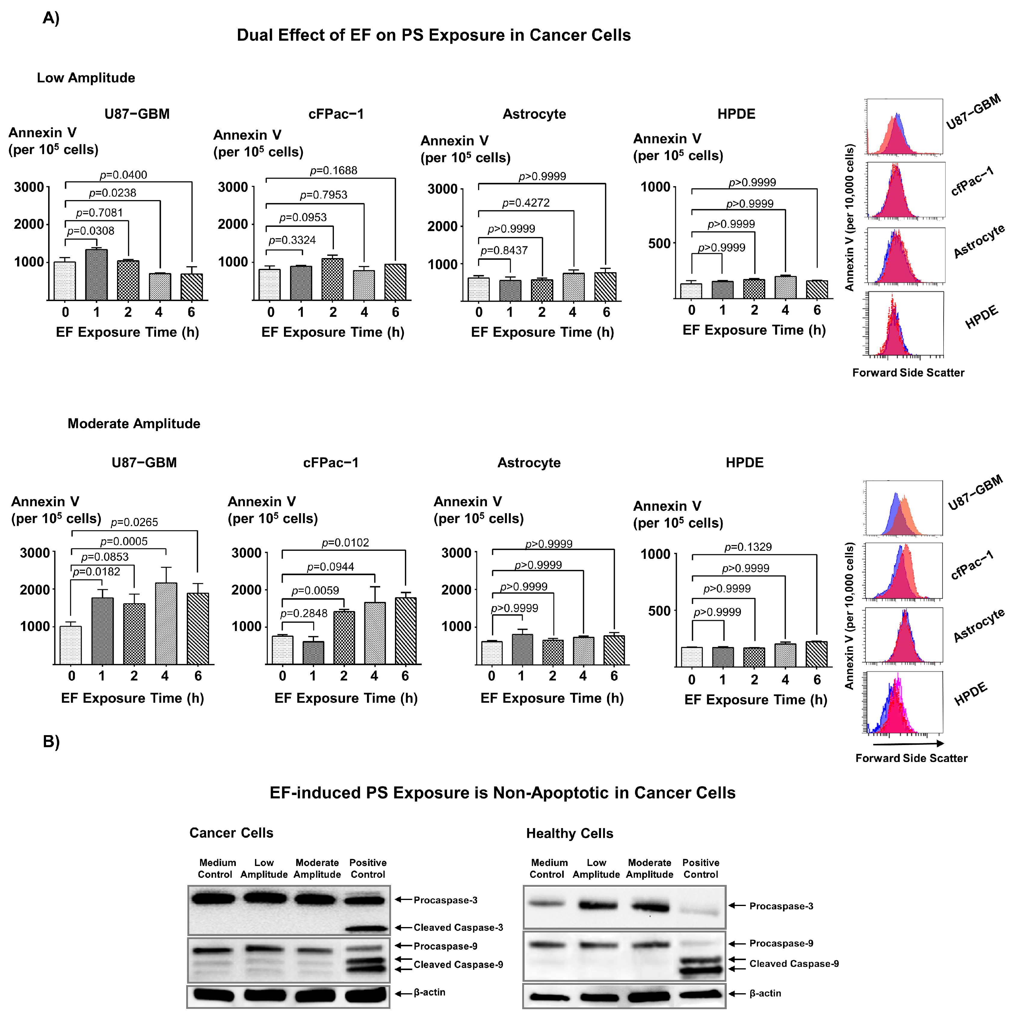 Biomedicines 11 00466 g002
