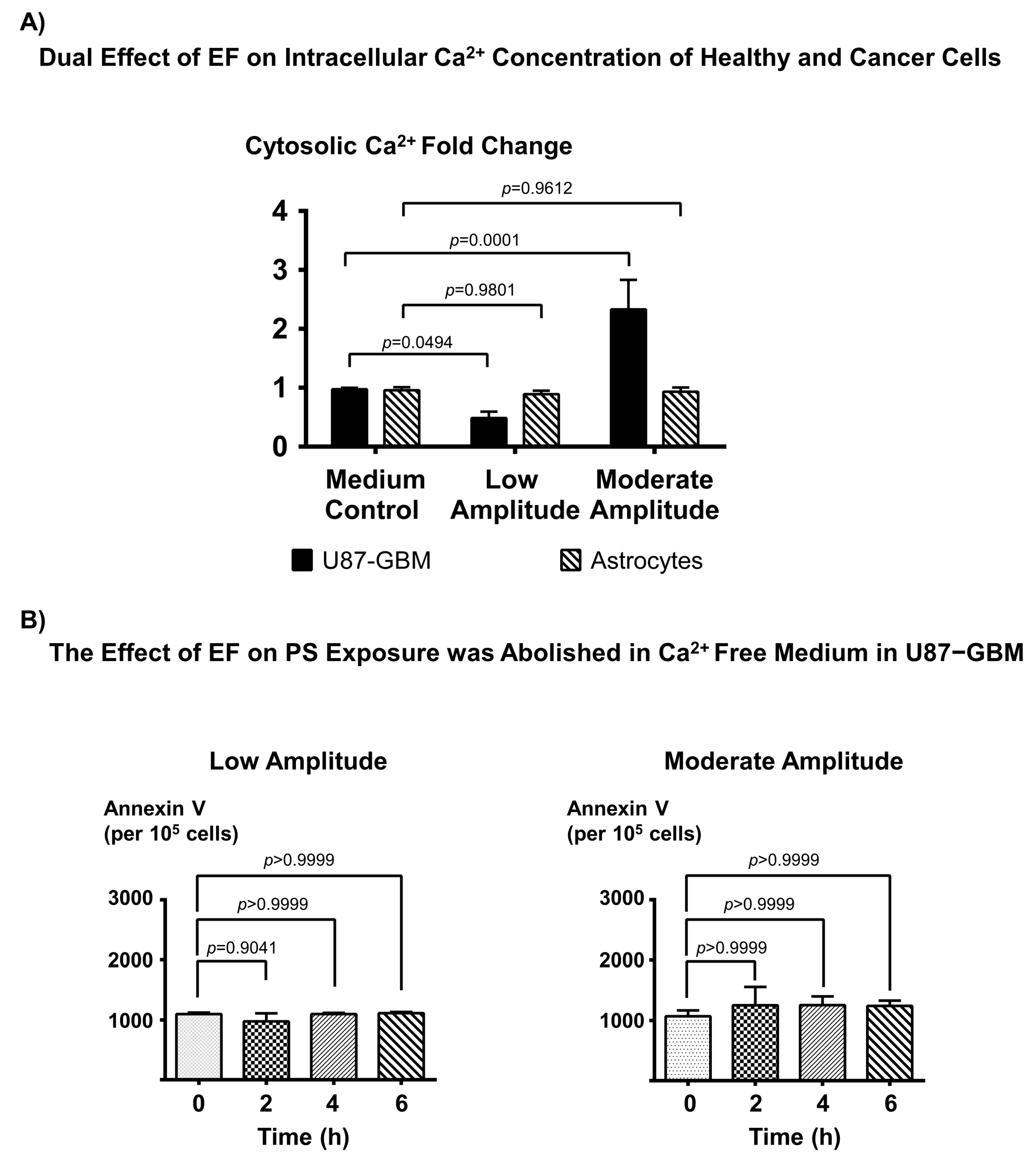 Biomedicines 11 00466 g003