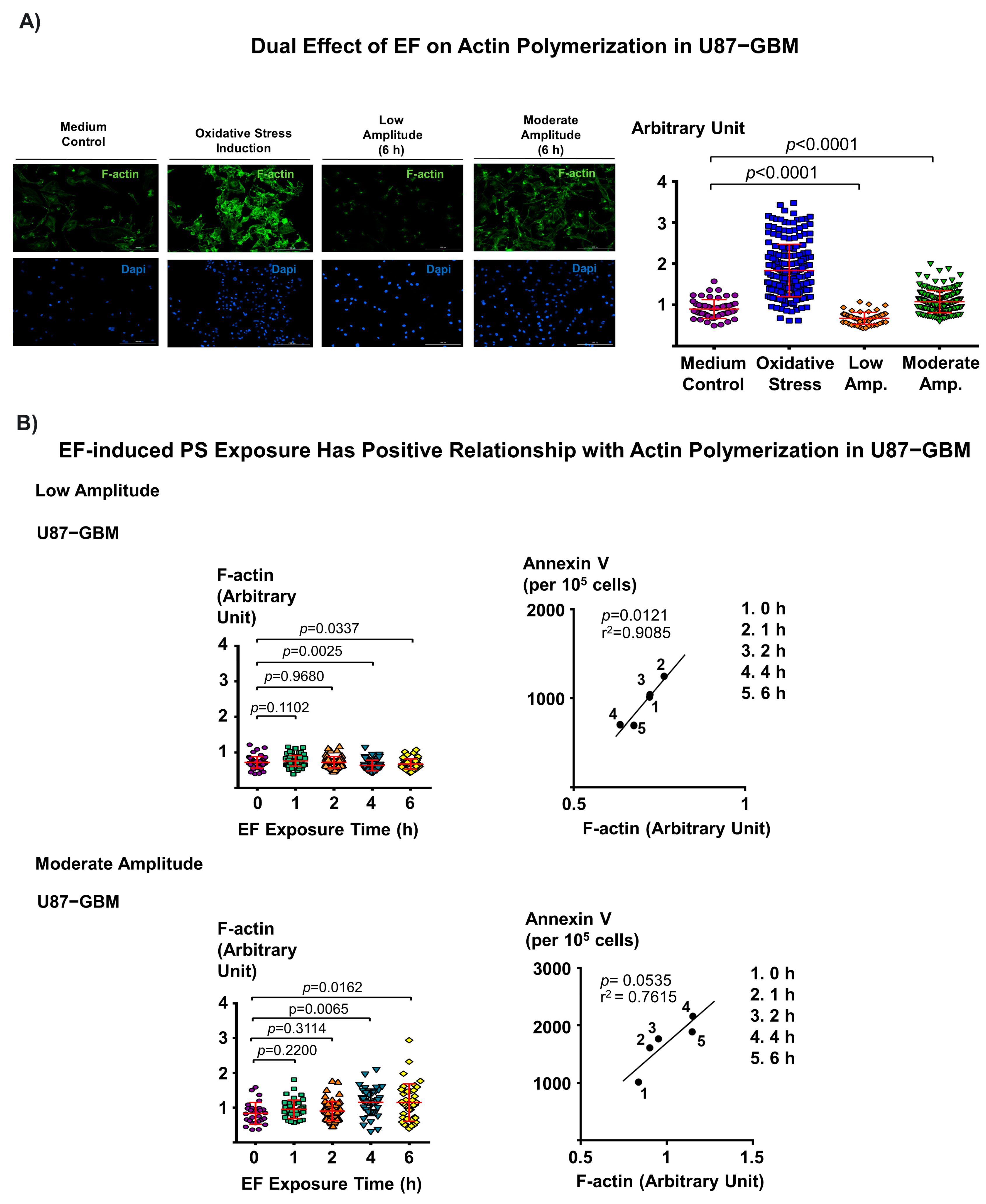 Biomedicines 11 00466 g004
