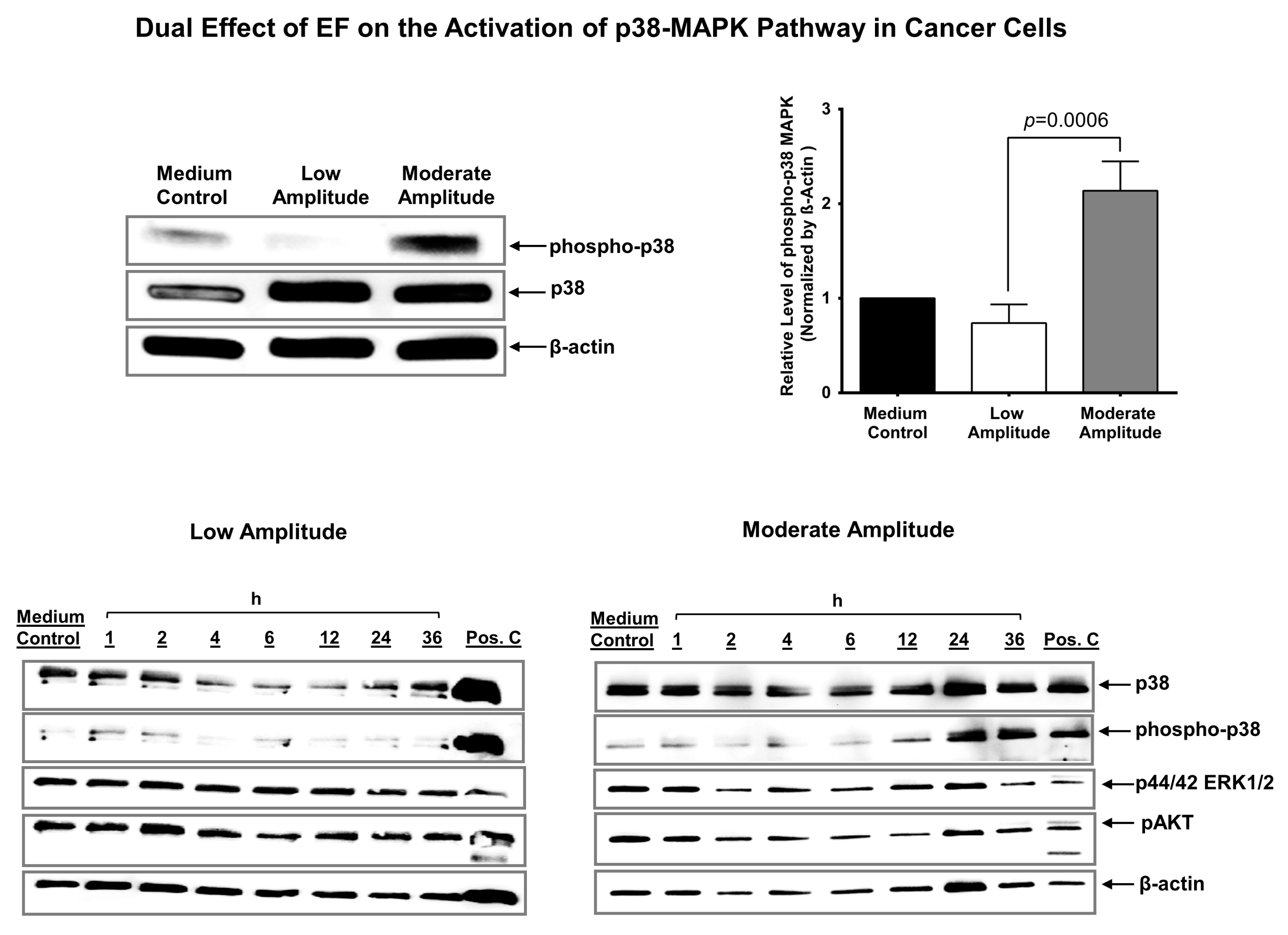 Biomedicines 11 00466 g005