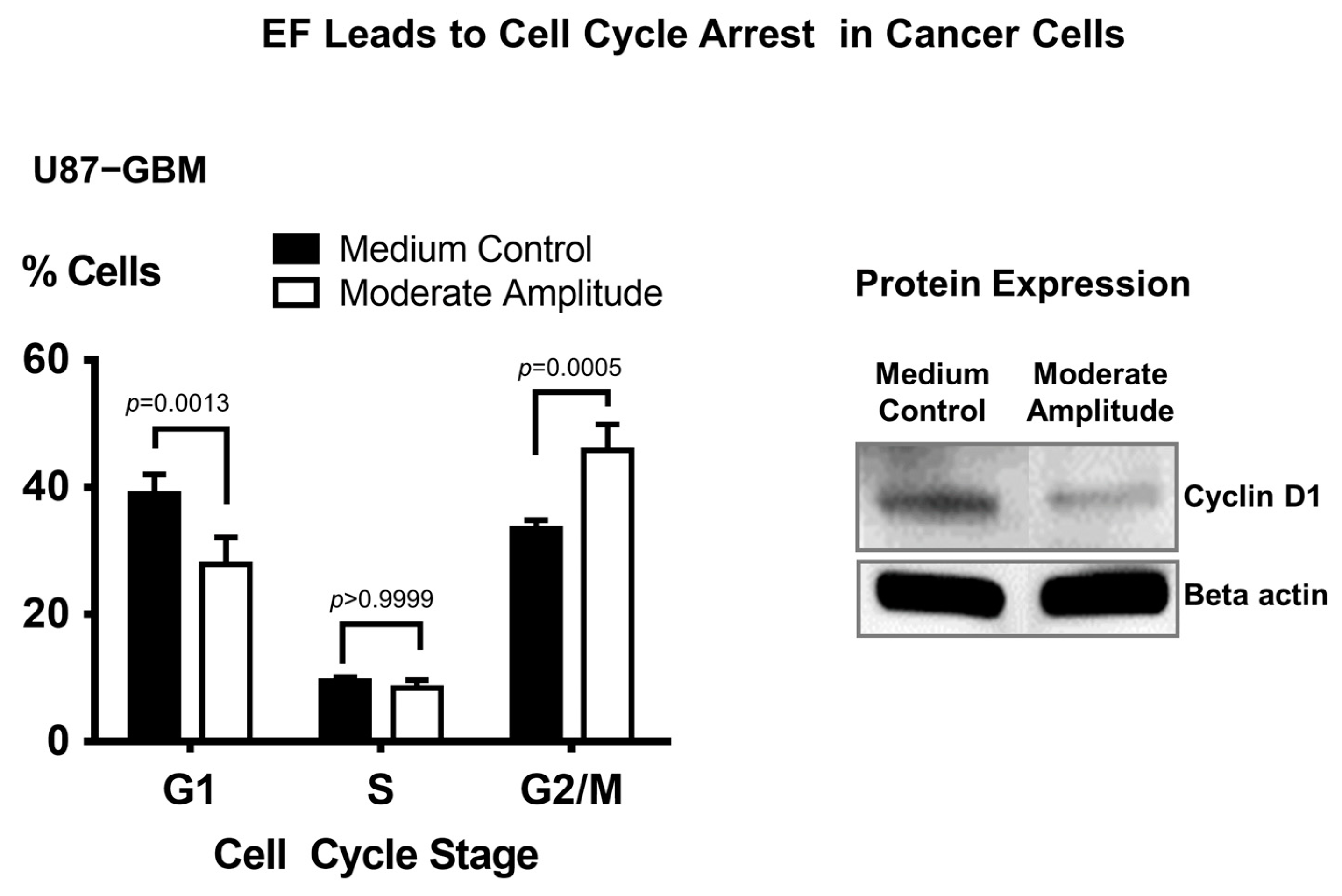 Biomedicines 11 00466 g006