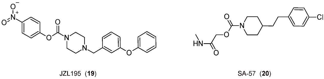 Biomedicines 11 00469 g005