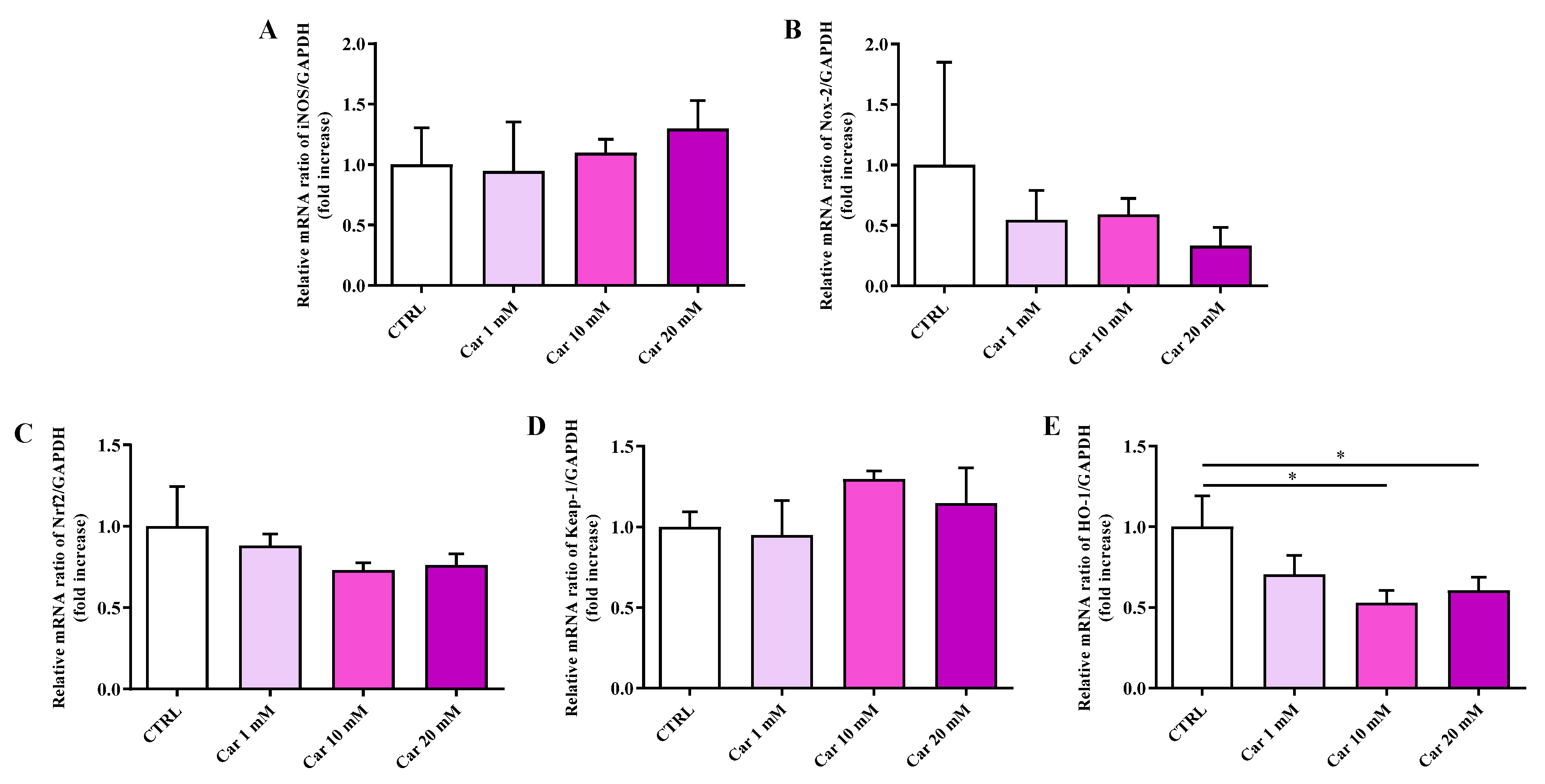 Biomedicines 11 00474 g003