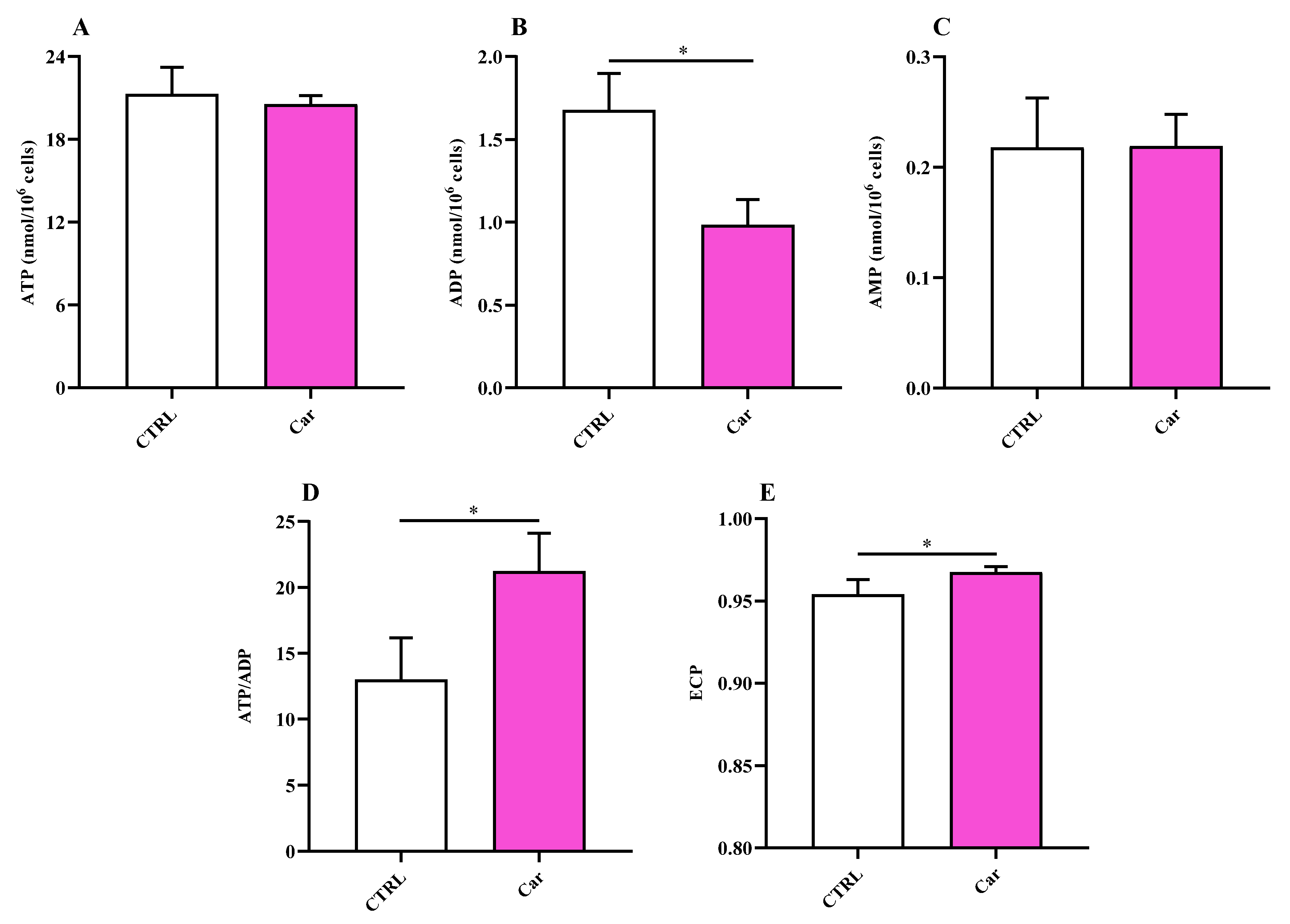 Biomedicines 11 00474 g007