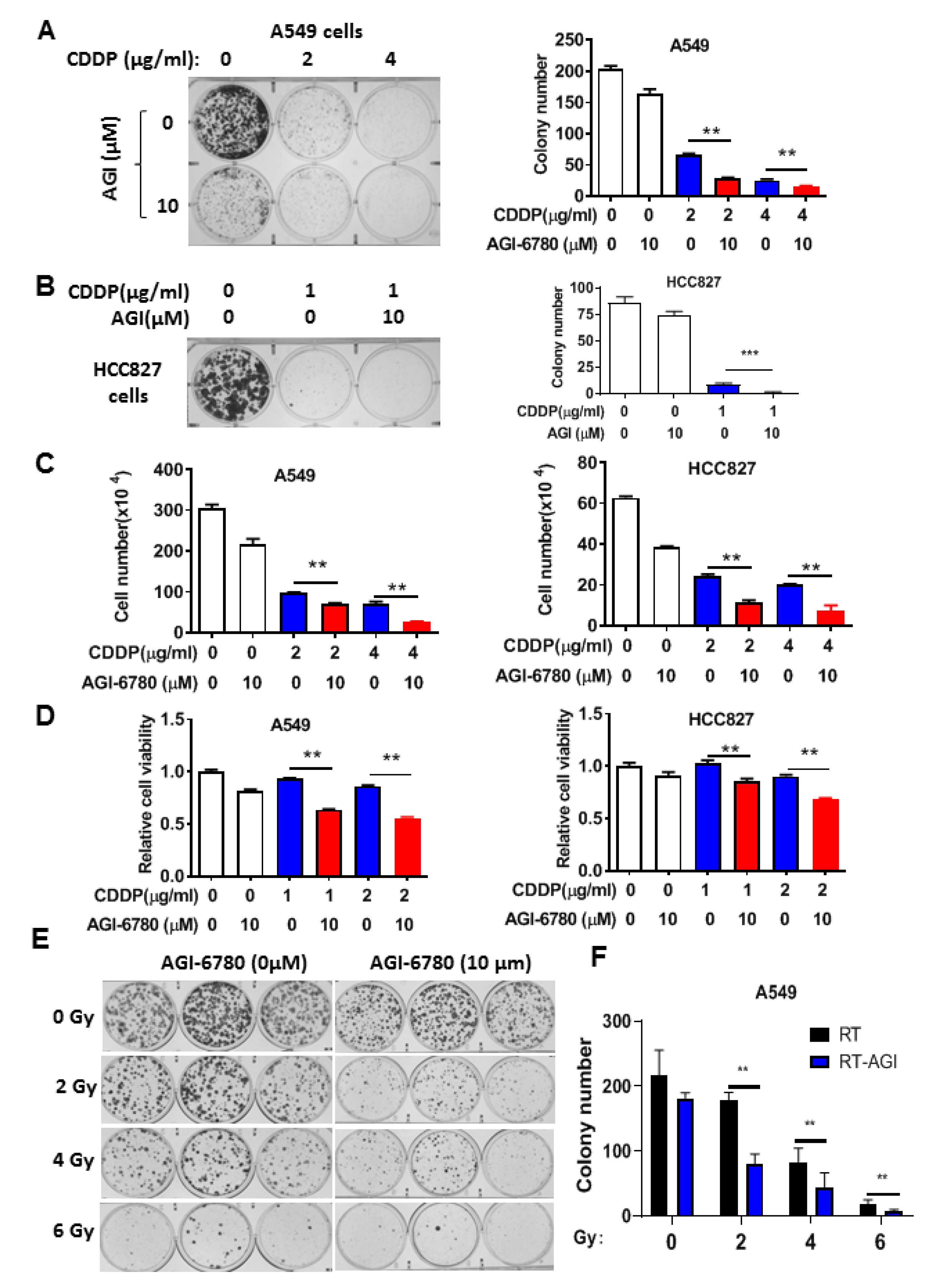 Biomedicines 11 00475 g003