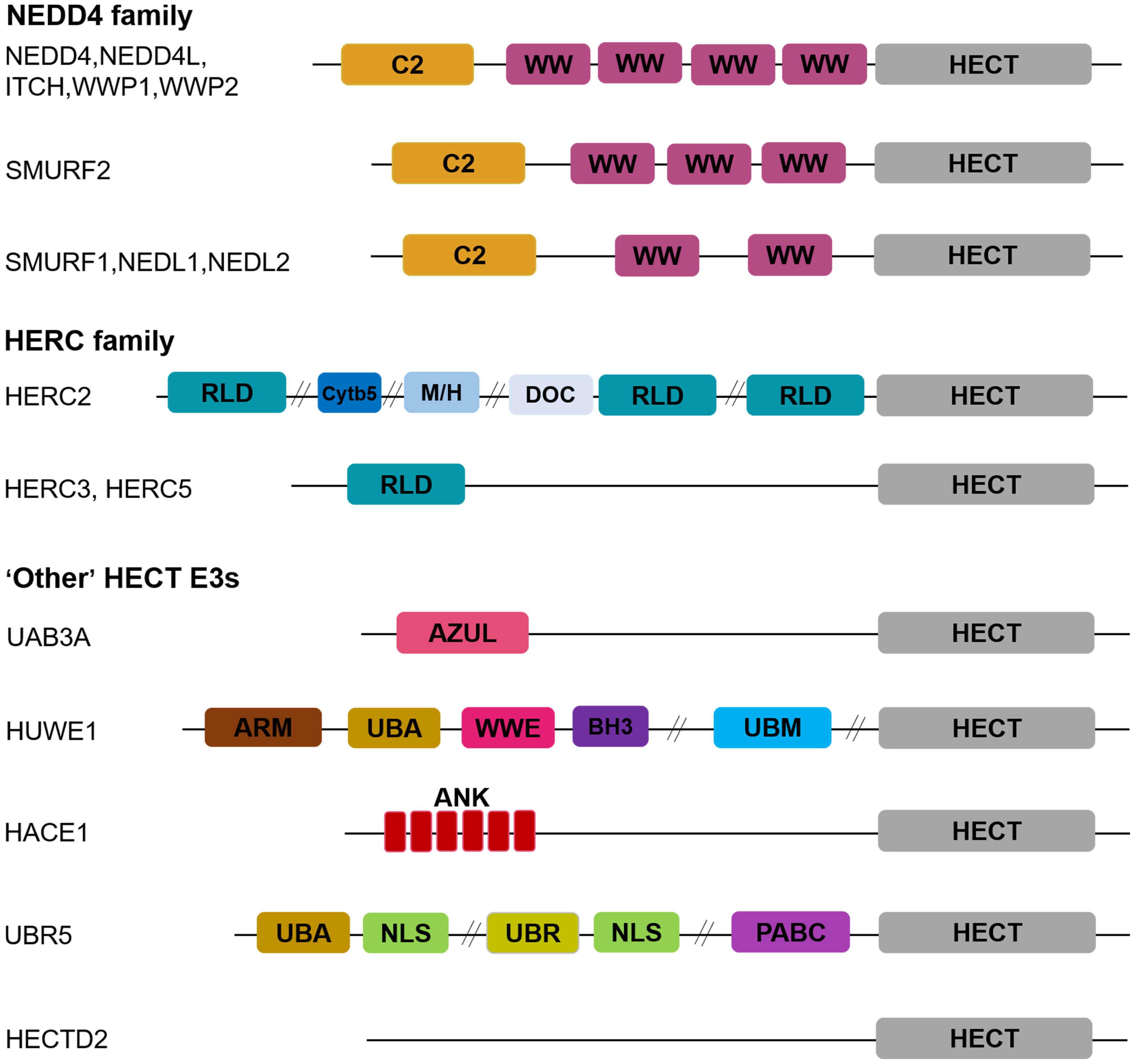 Biomedicines 11 00478 g001 Biomedicines 11 00478 g001