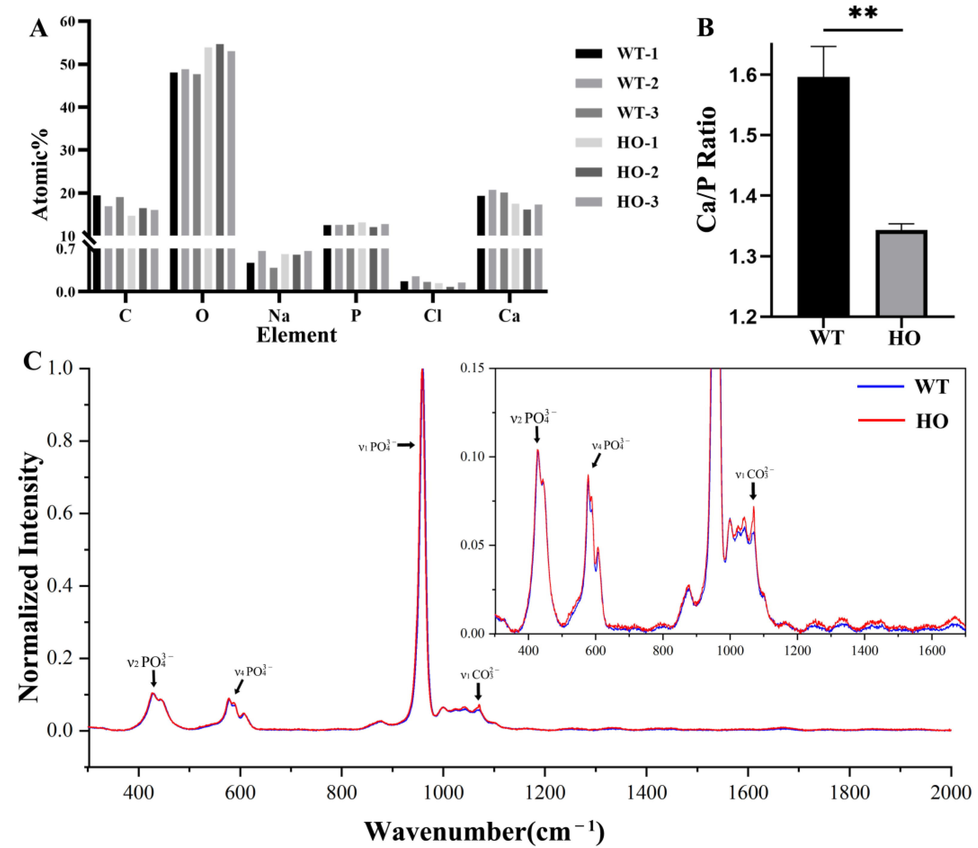 Biomedicines 11 00482 g006