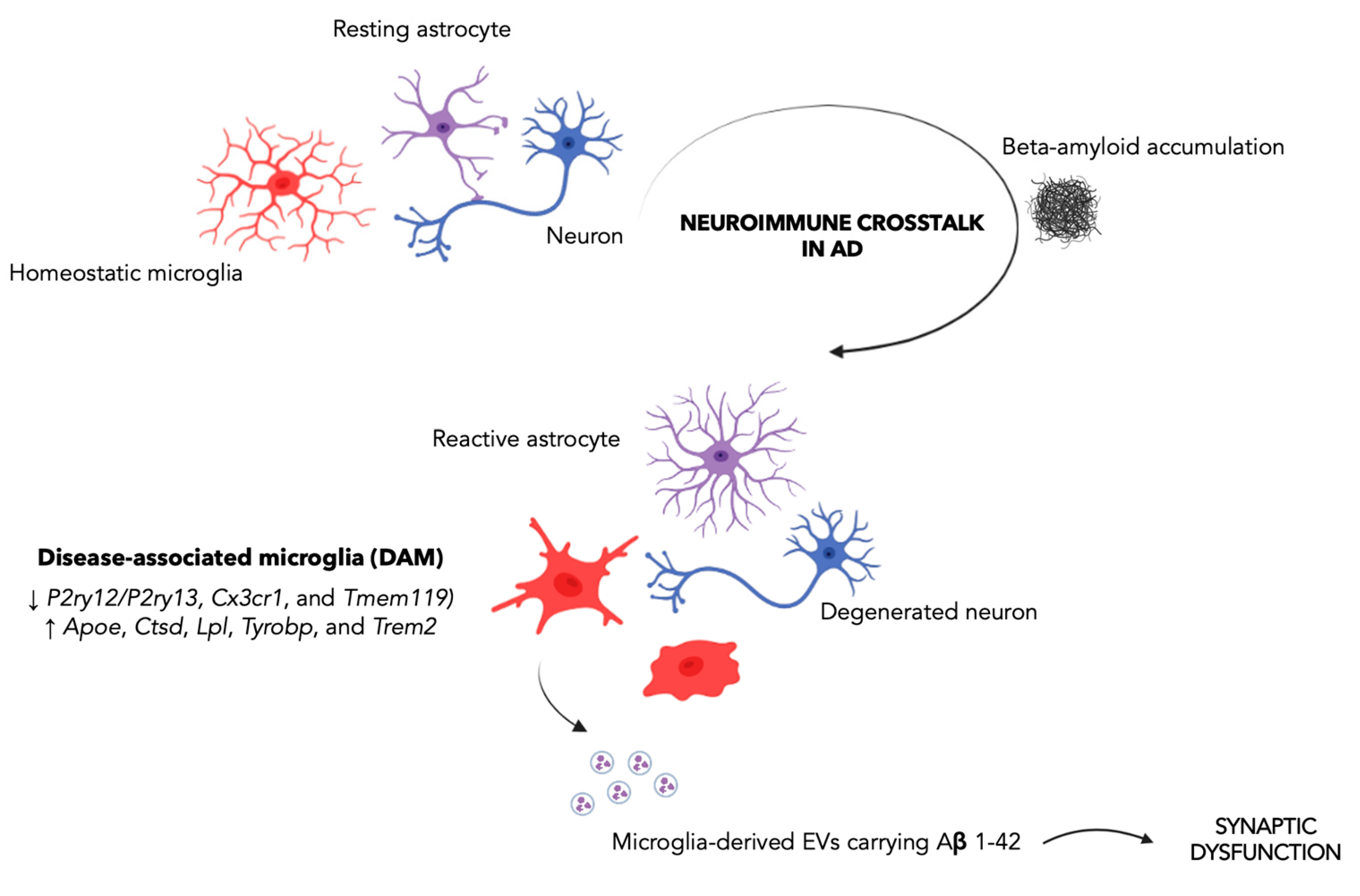 Biomedicines 11 00484 g001