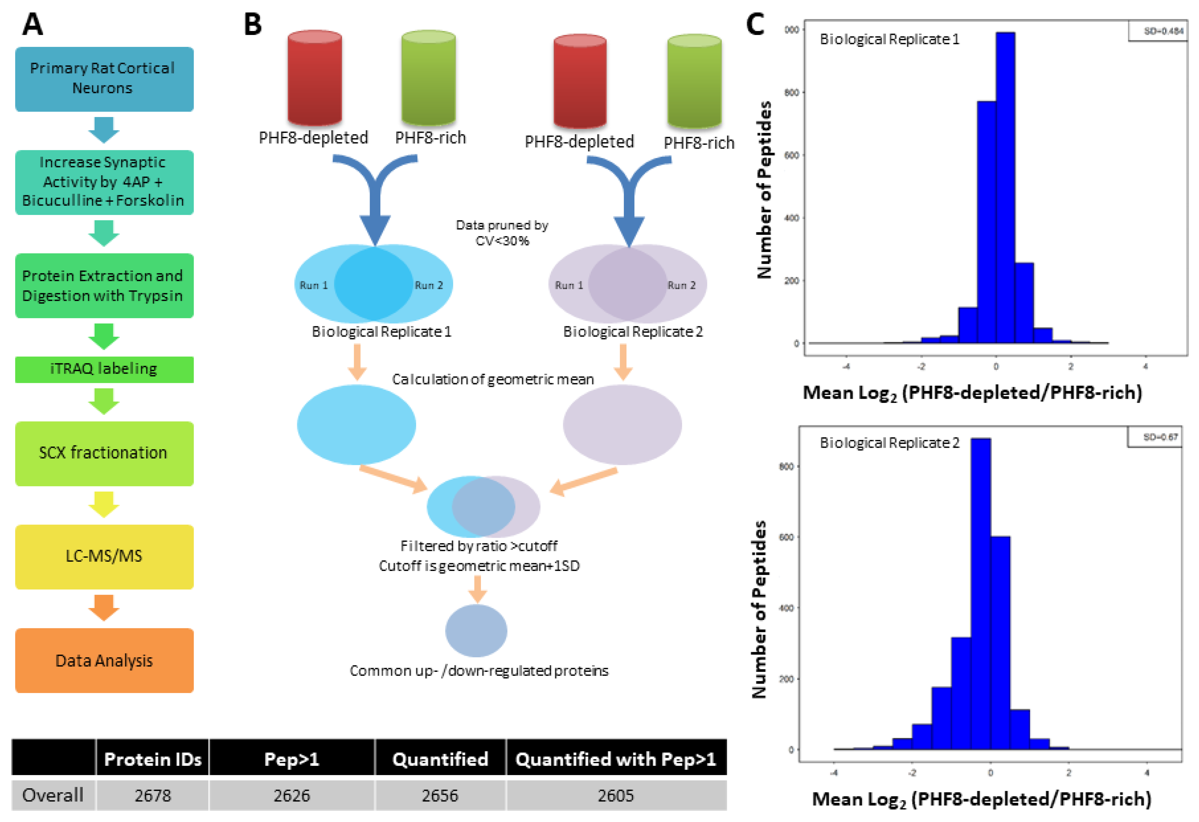 Biomedicines 11 00486 g001