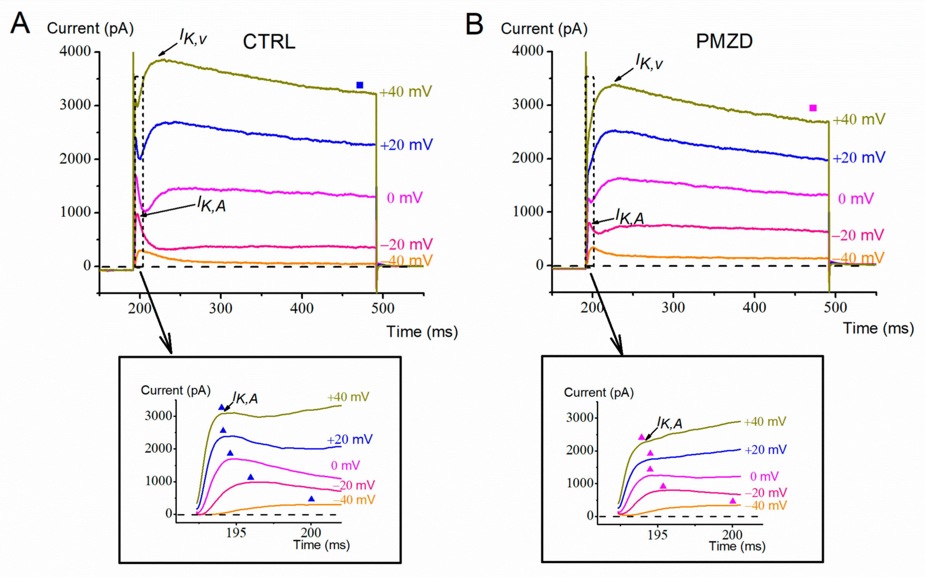 Biomedicines 11 00488 g002