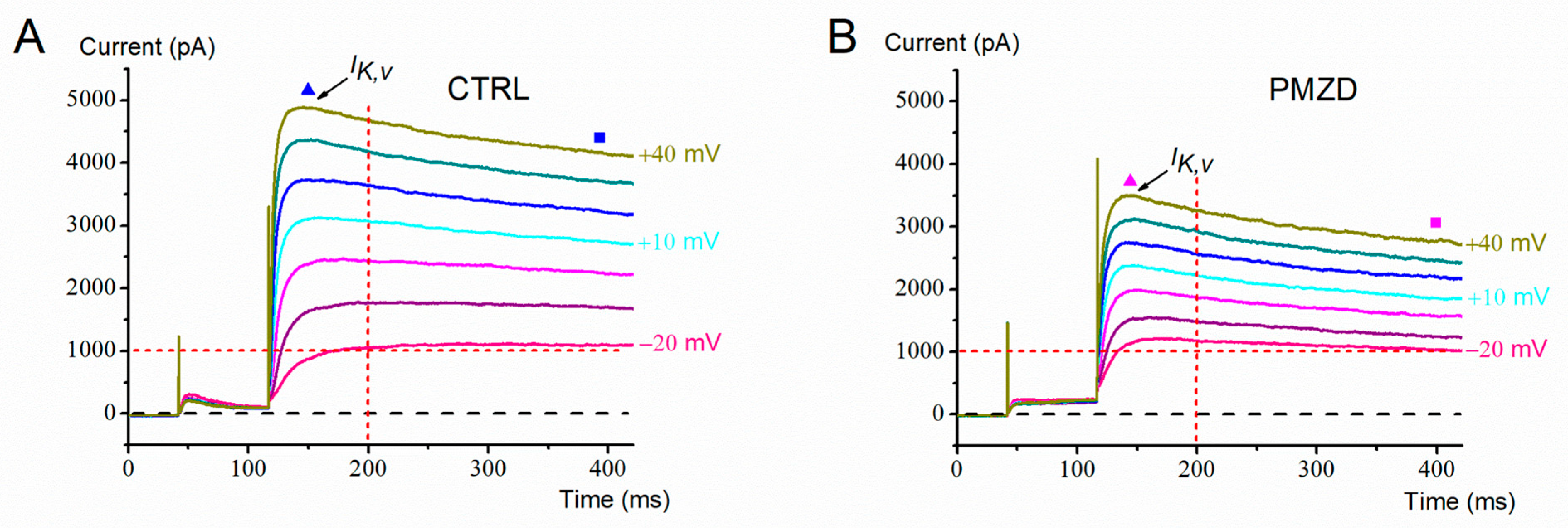 Biomedicines 11 00488 g005