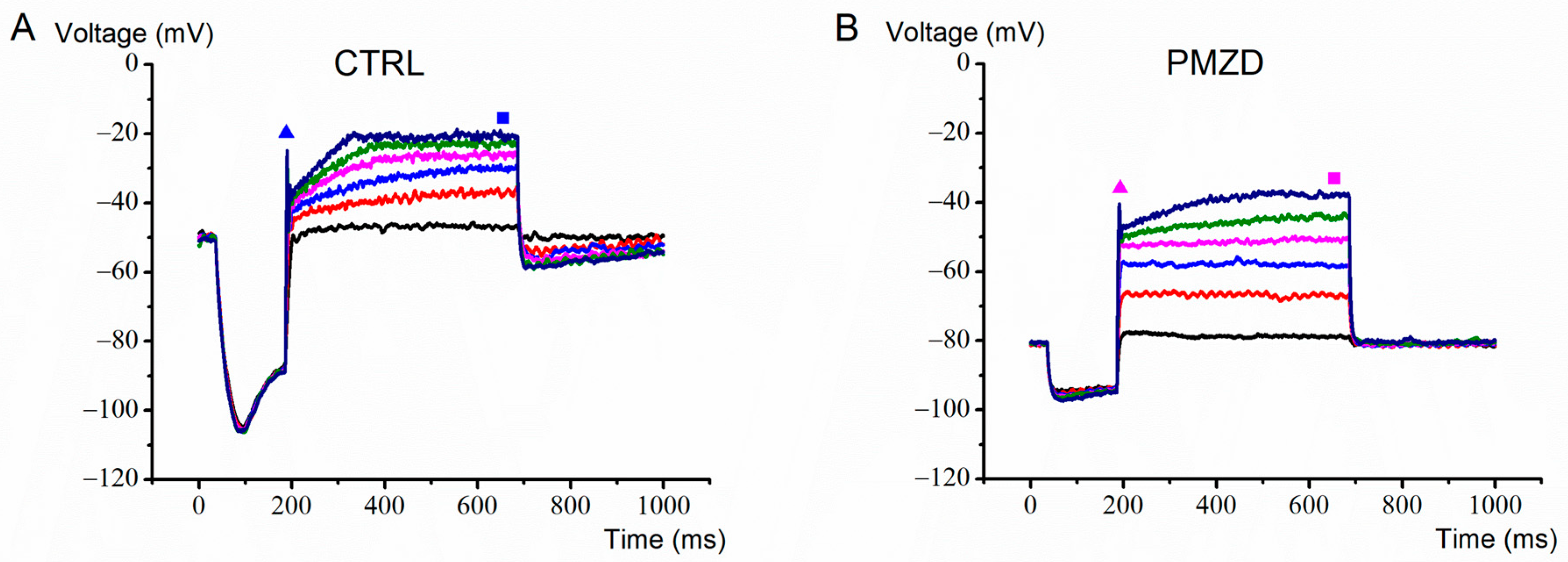 Biomedicines 11 00488 g009