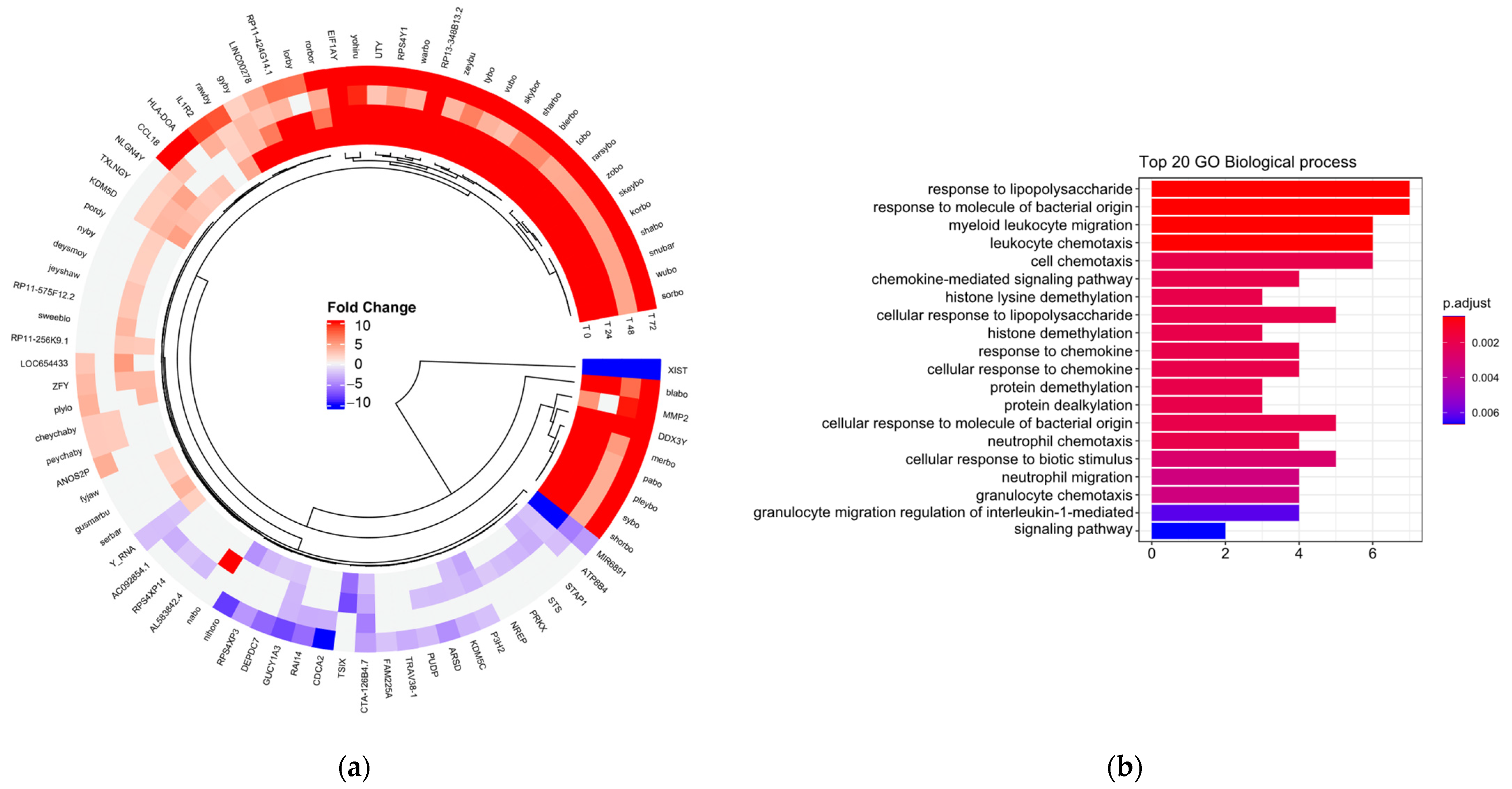 Biomedicines 11 00490 g001 Biomedicines 11 00490 g001