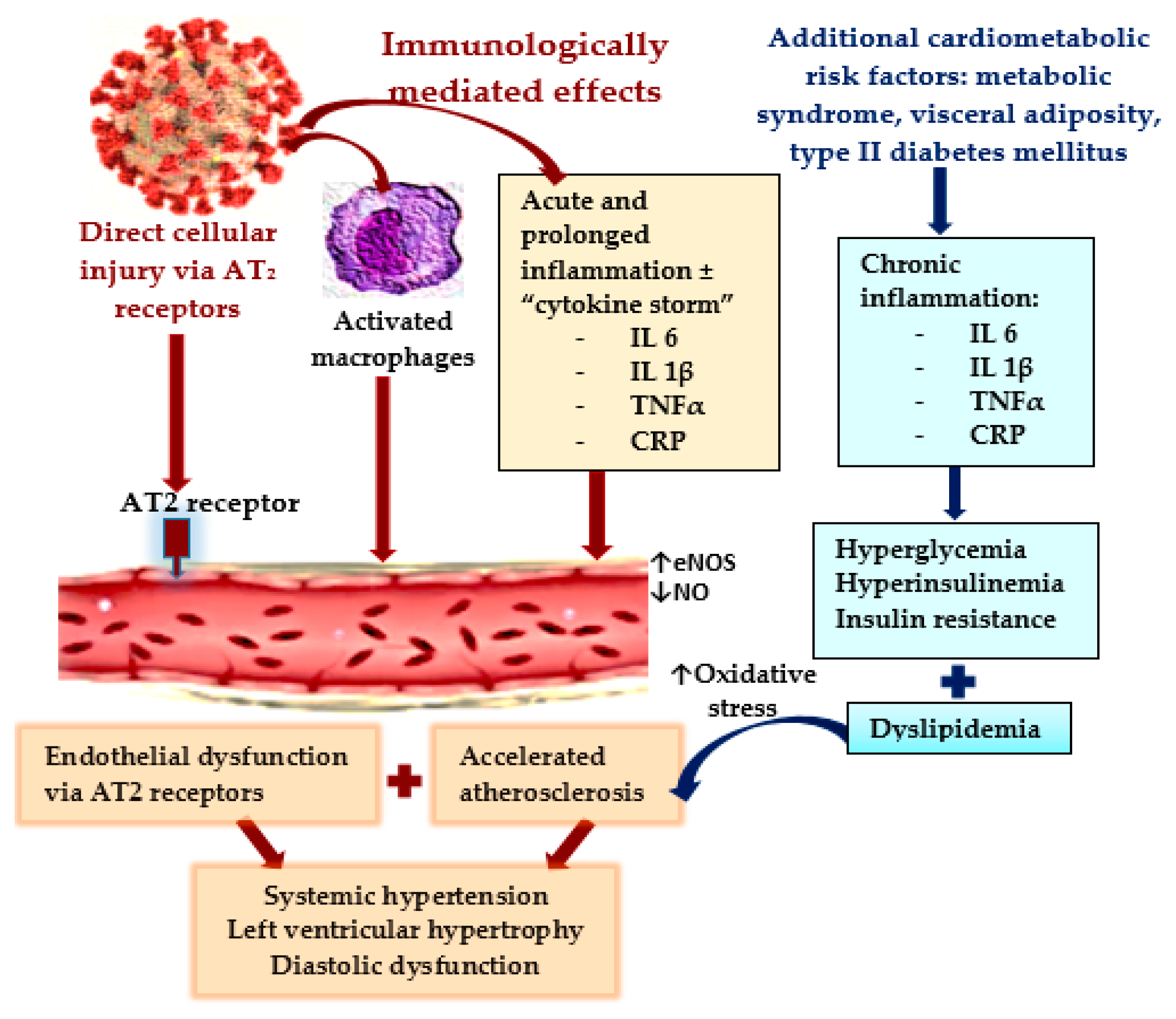 Biomedicines 11 00492 g001