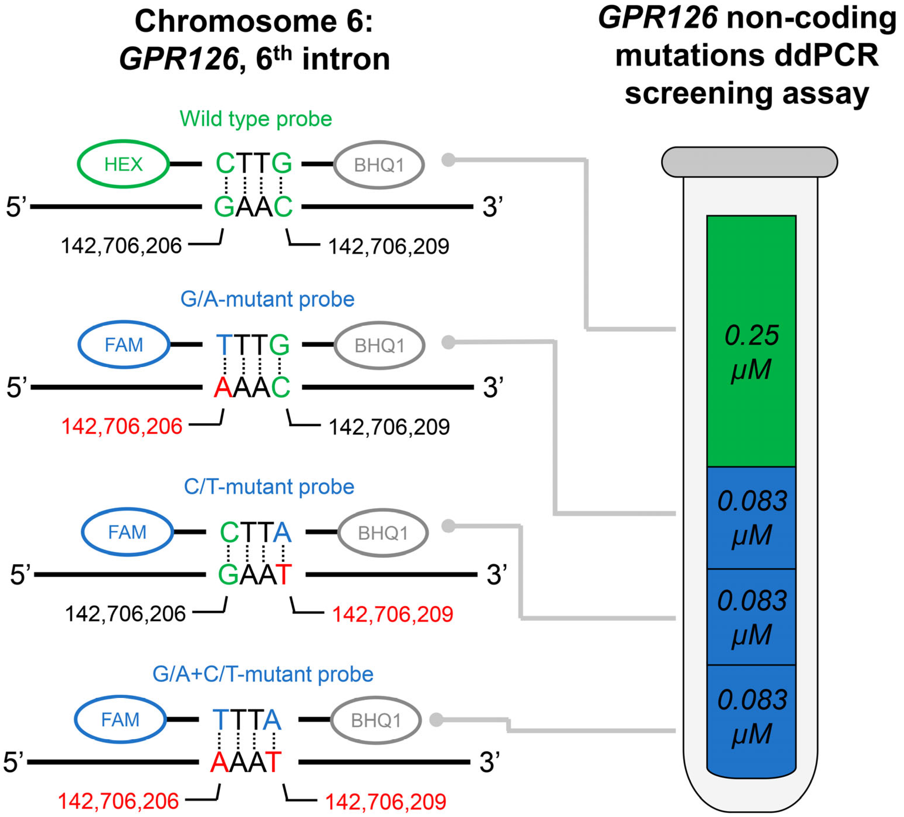 Biomedicines 11 00495 g001
