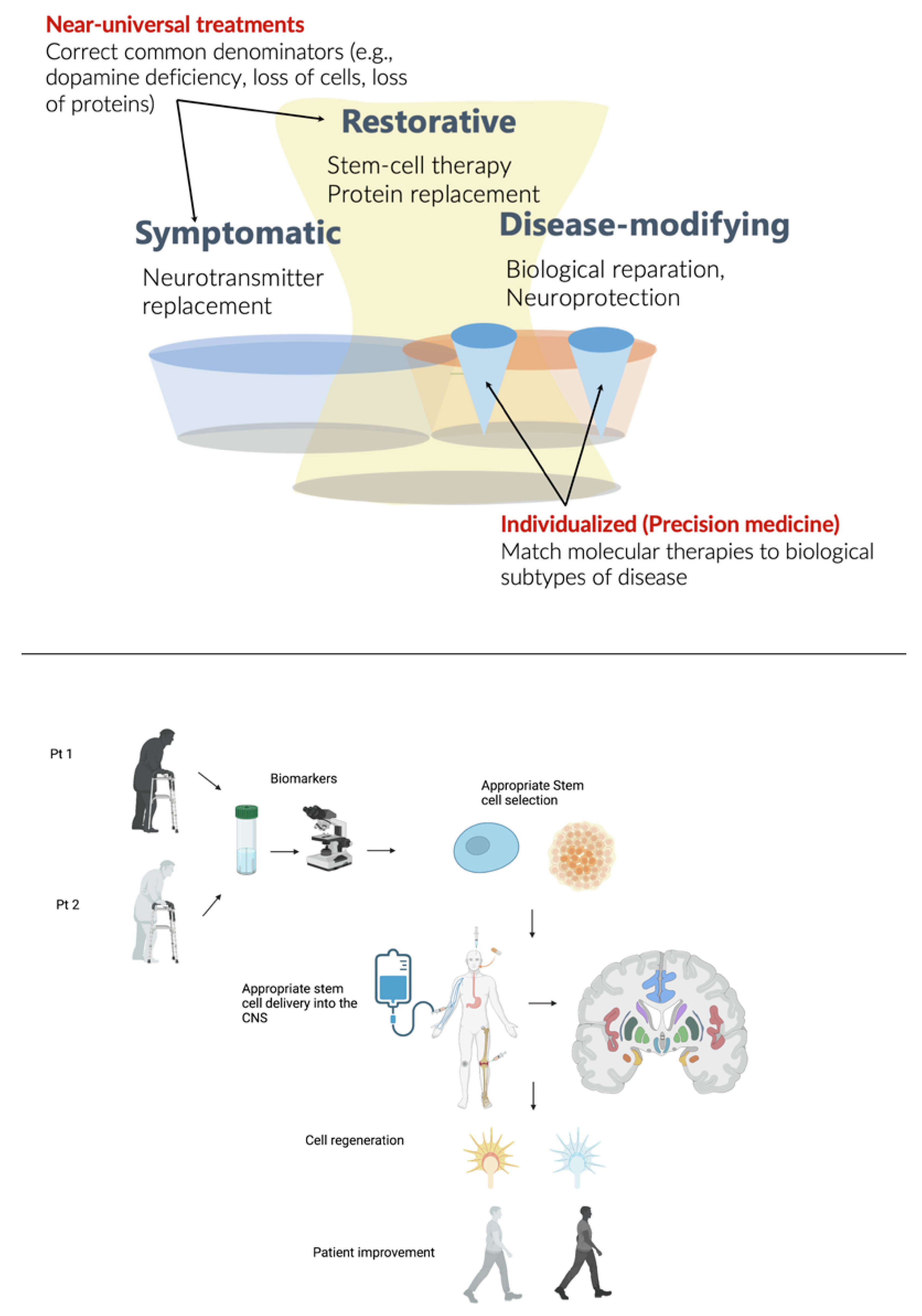Biomedicines 11 00505 g001