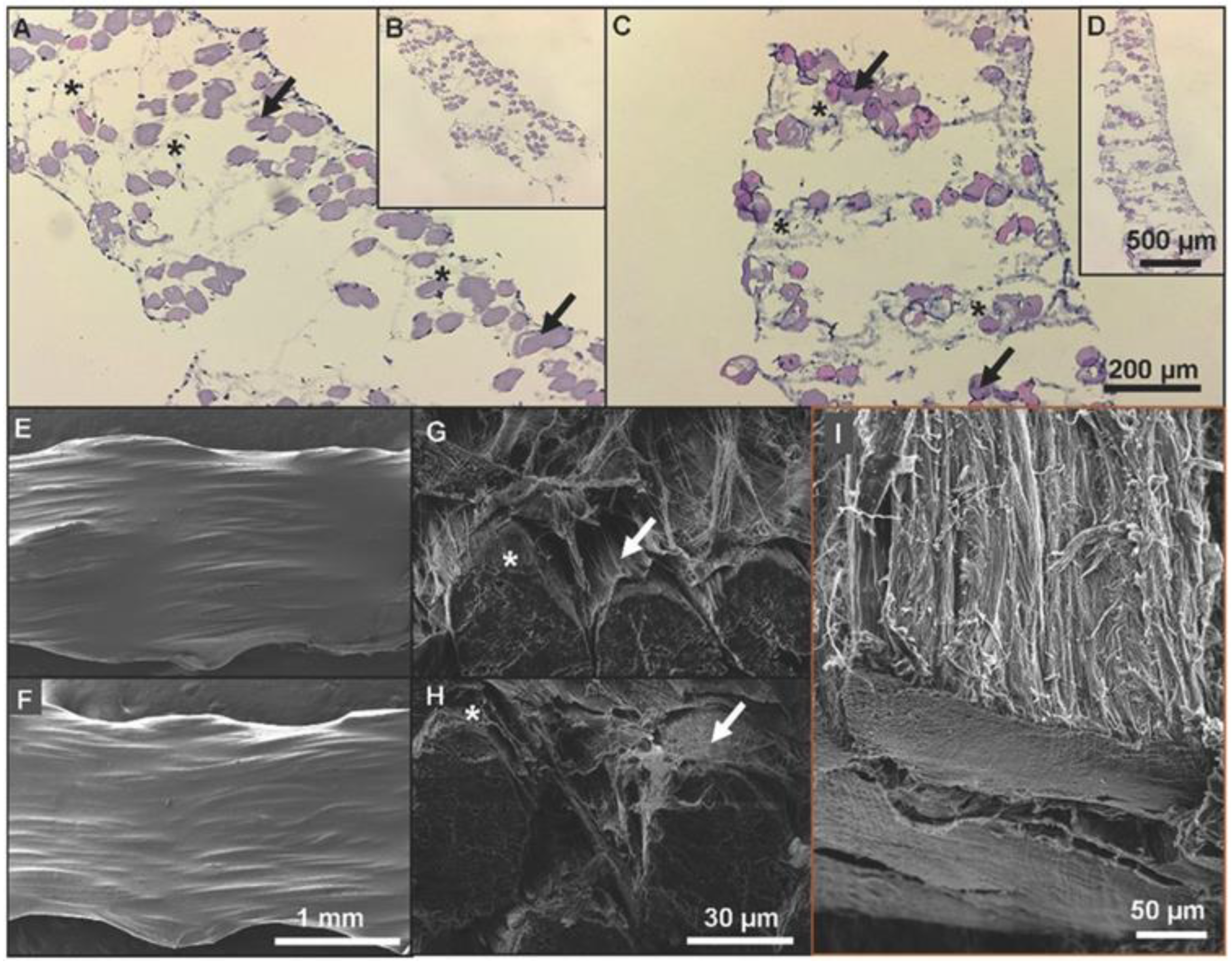 Biomedicines 11 00507 g004