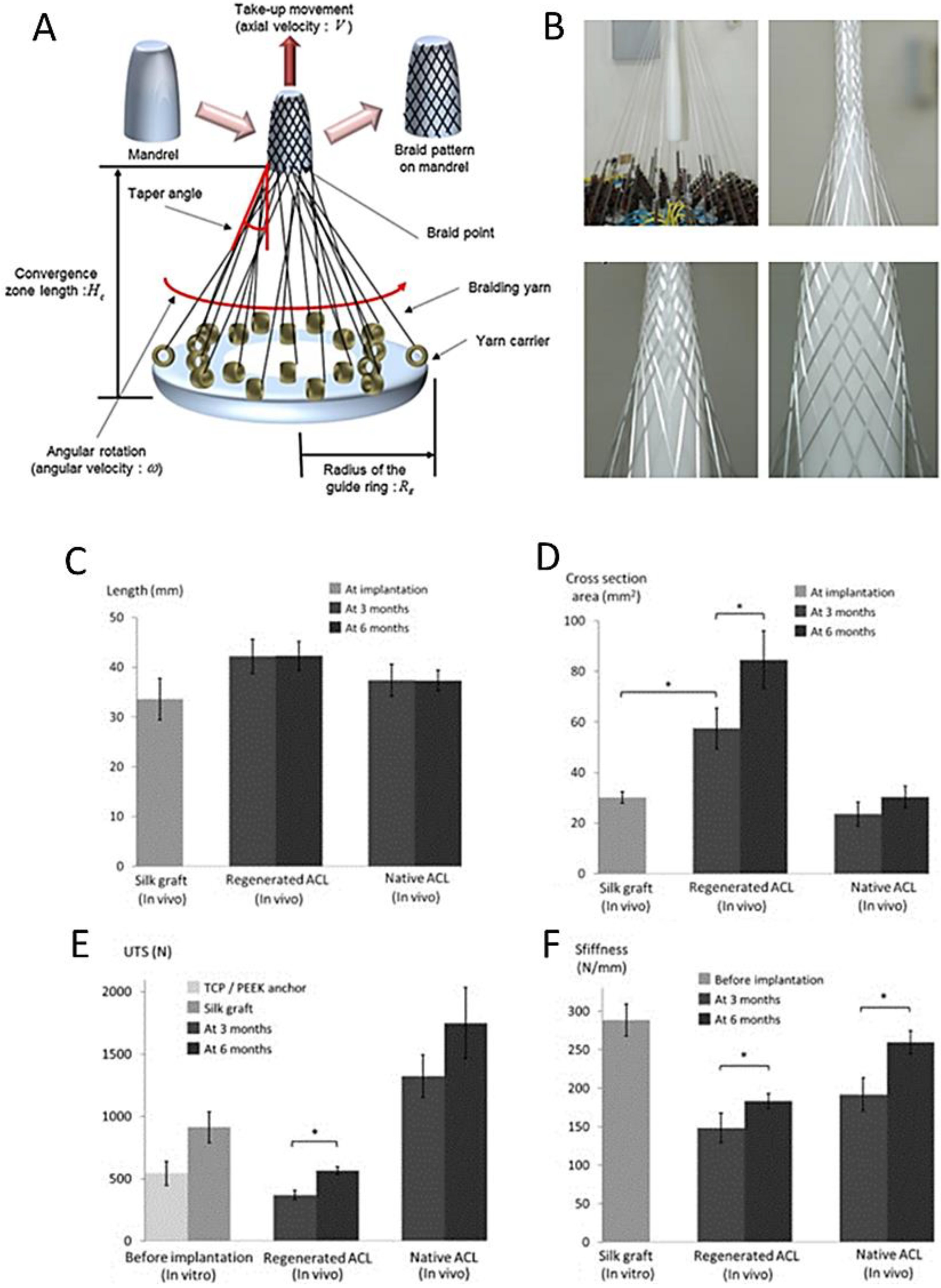Biomedicines 11 00507 g005