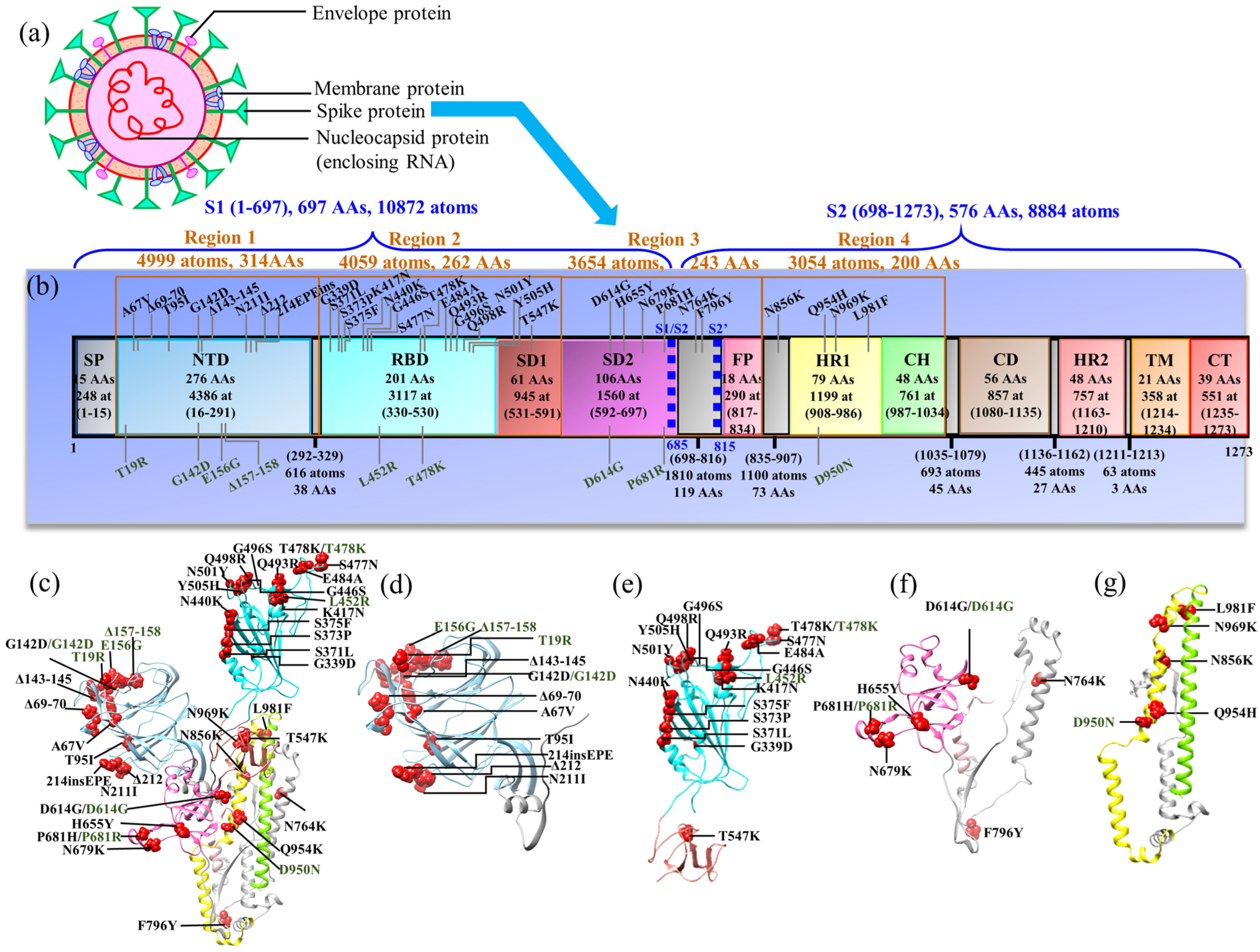 Biomedicines 11 00517 g001