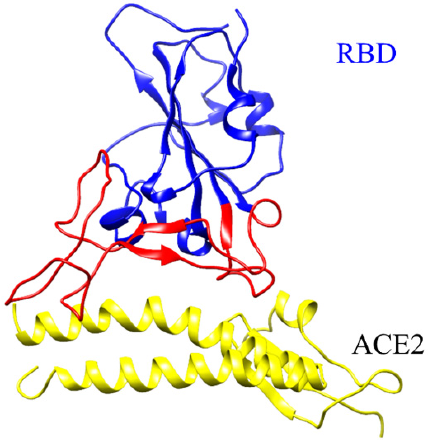 Biomedicines 11 00517 g002
