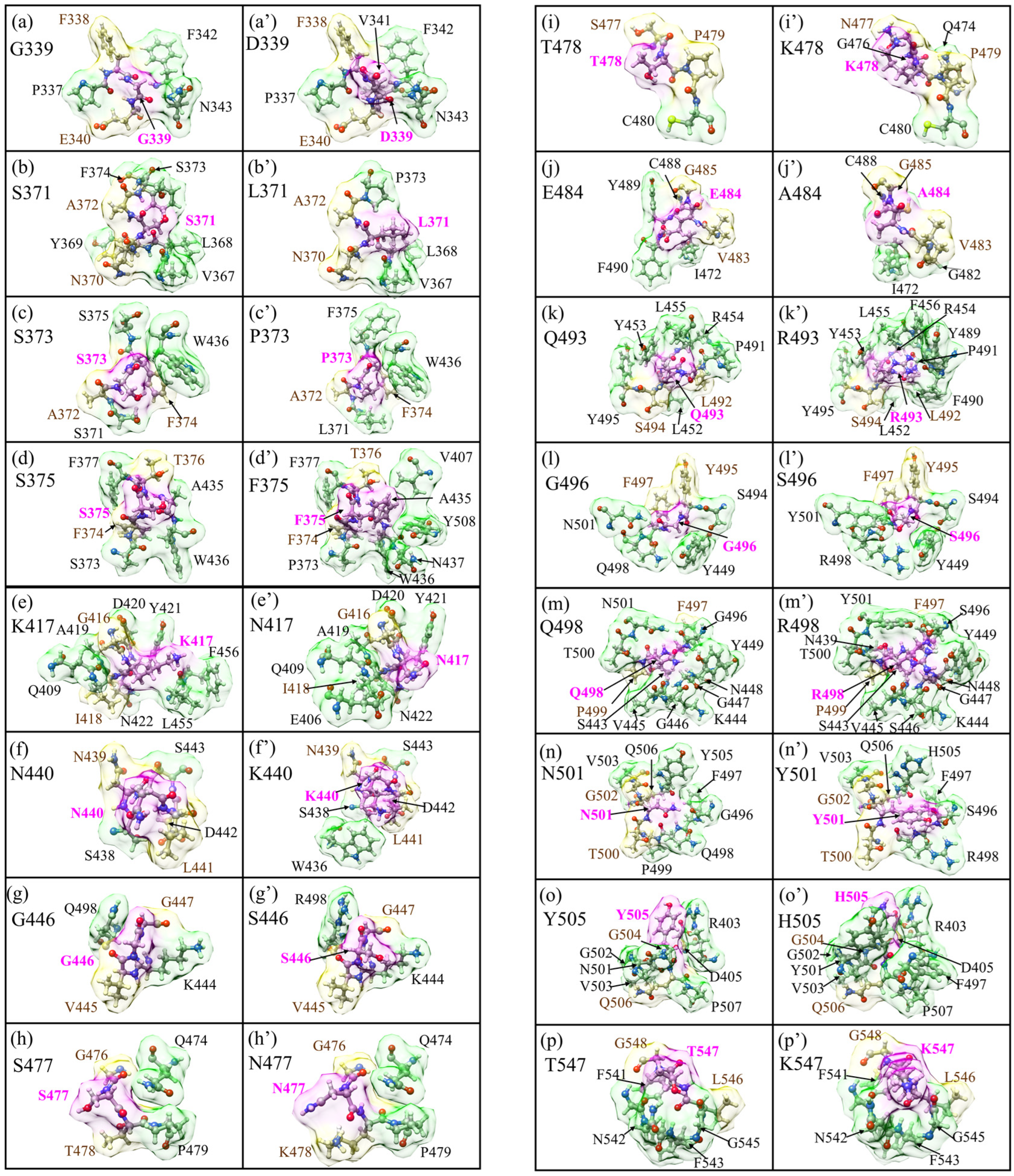 Biomedicines 11 00517 g004