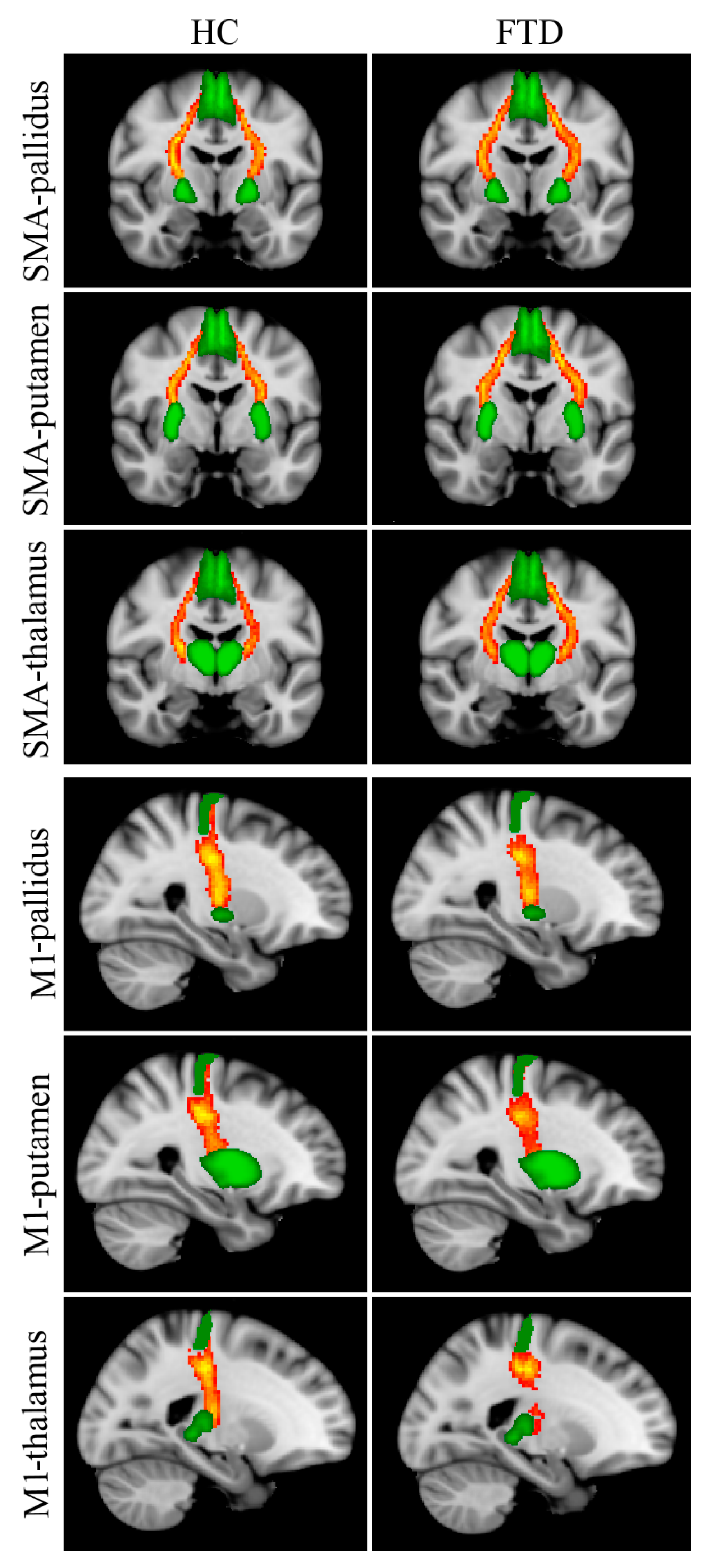 Biomedicines 11 00522 g002