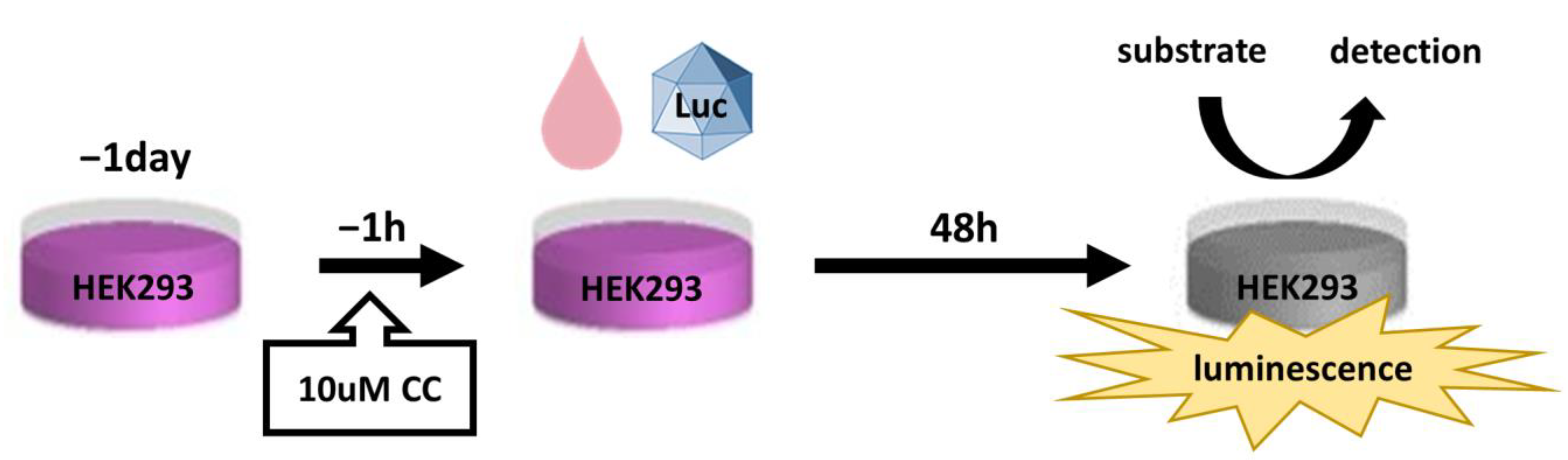 Biomedicines 11 00523 g001