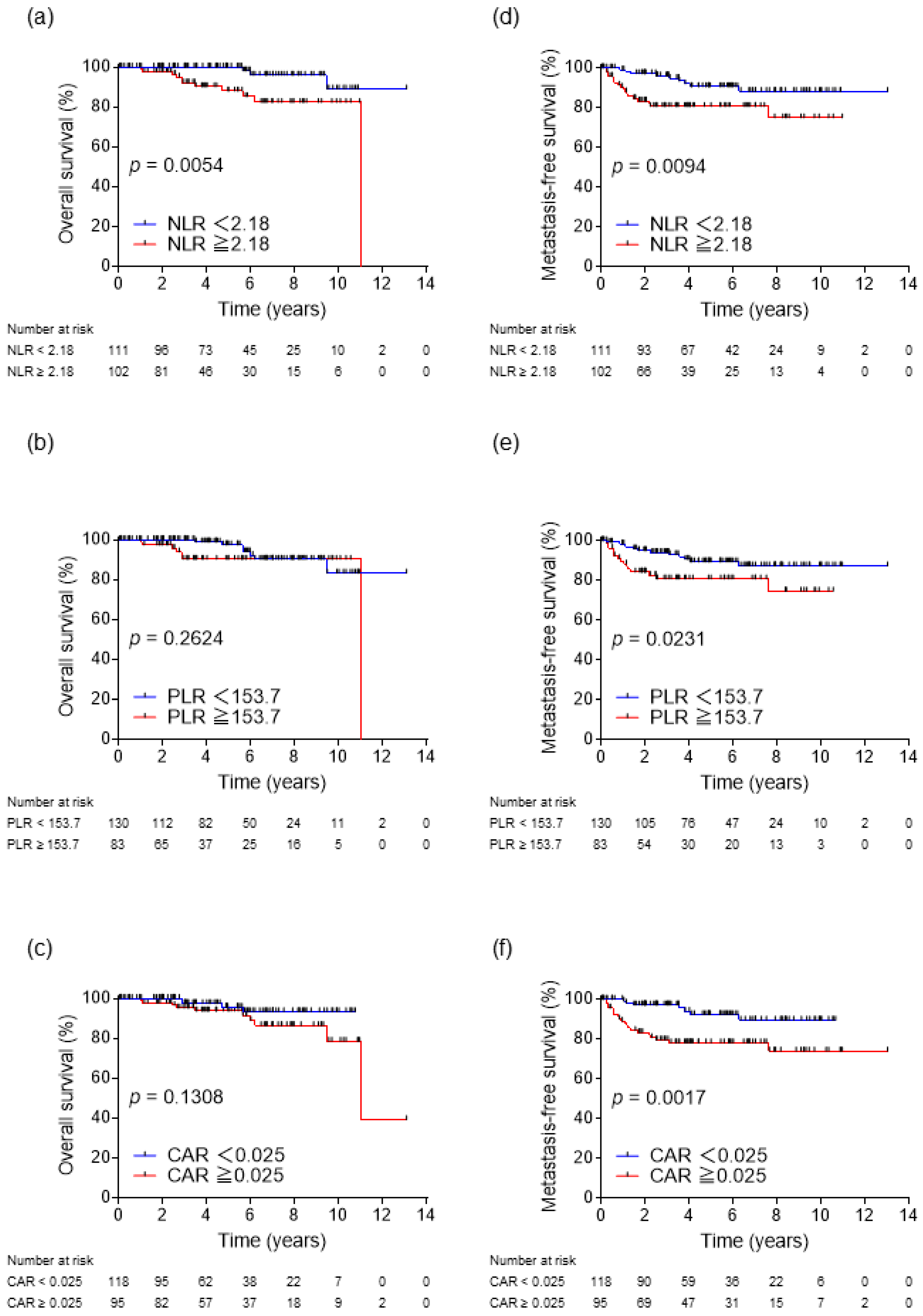 Biomedicines 11 00533 g001