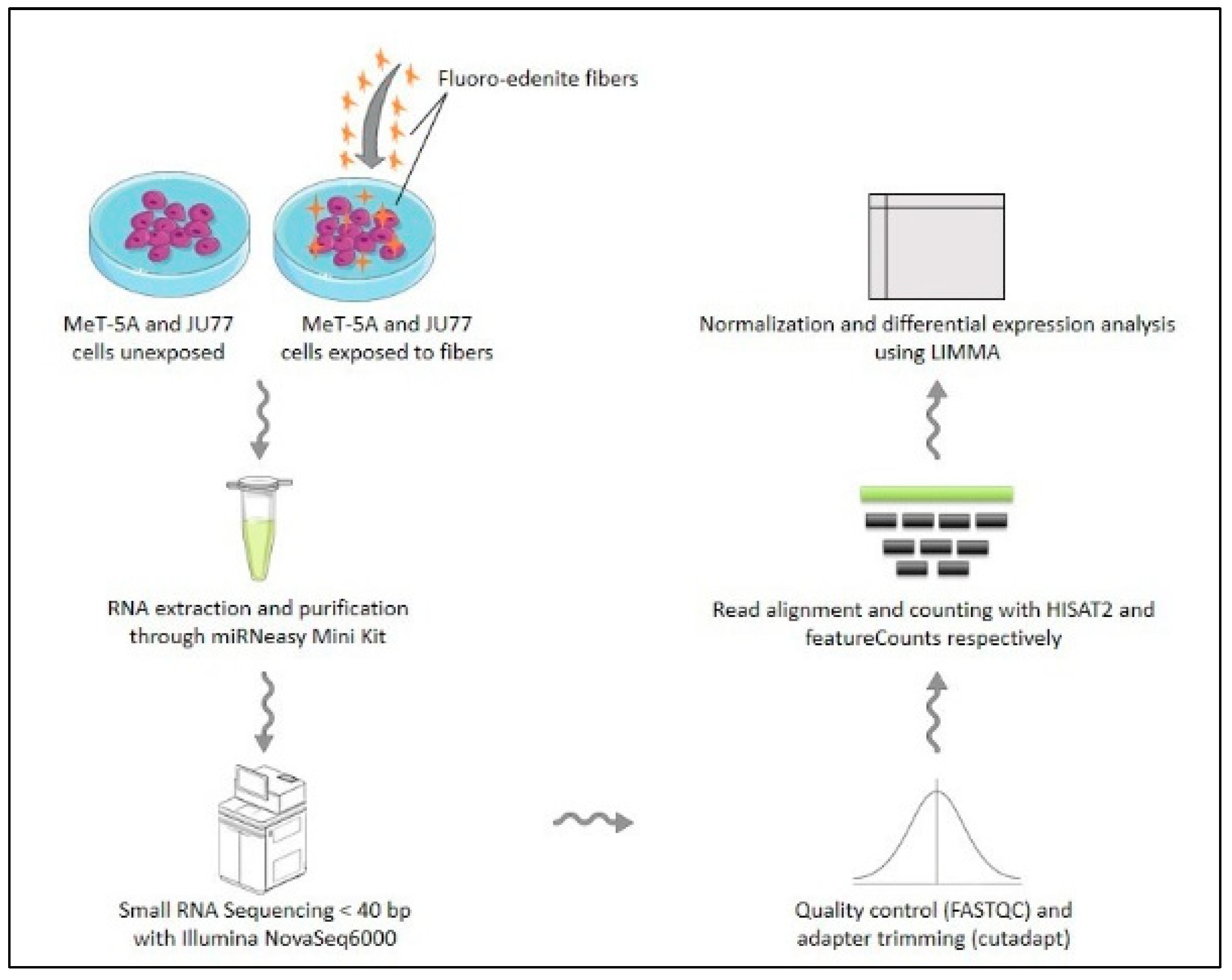 Biomedicines 11 00538 g001 Biomedicines 11 00538 g001