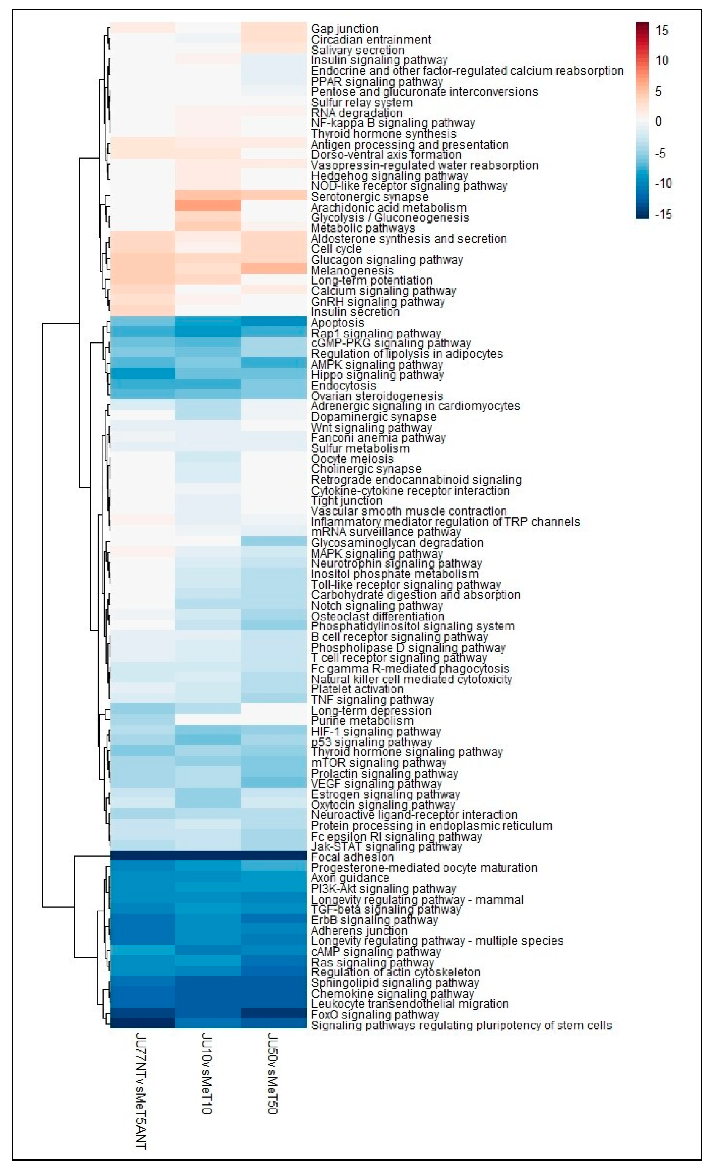 Biomedicines 11 00538 g004 Biomedicines 11 00538 g004