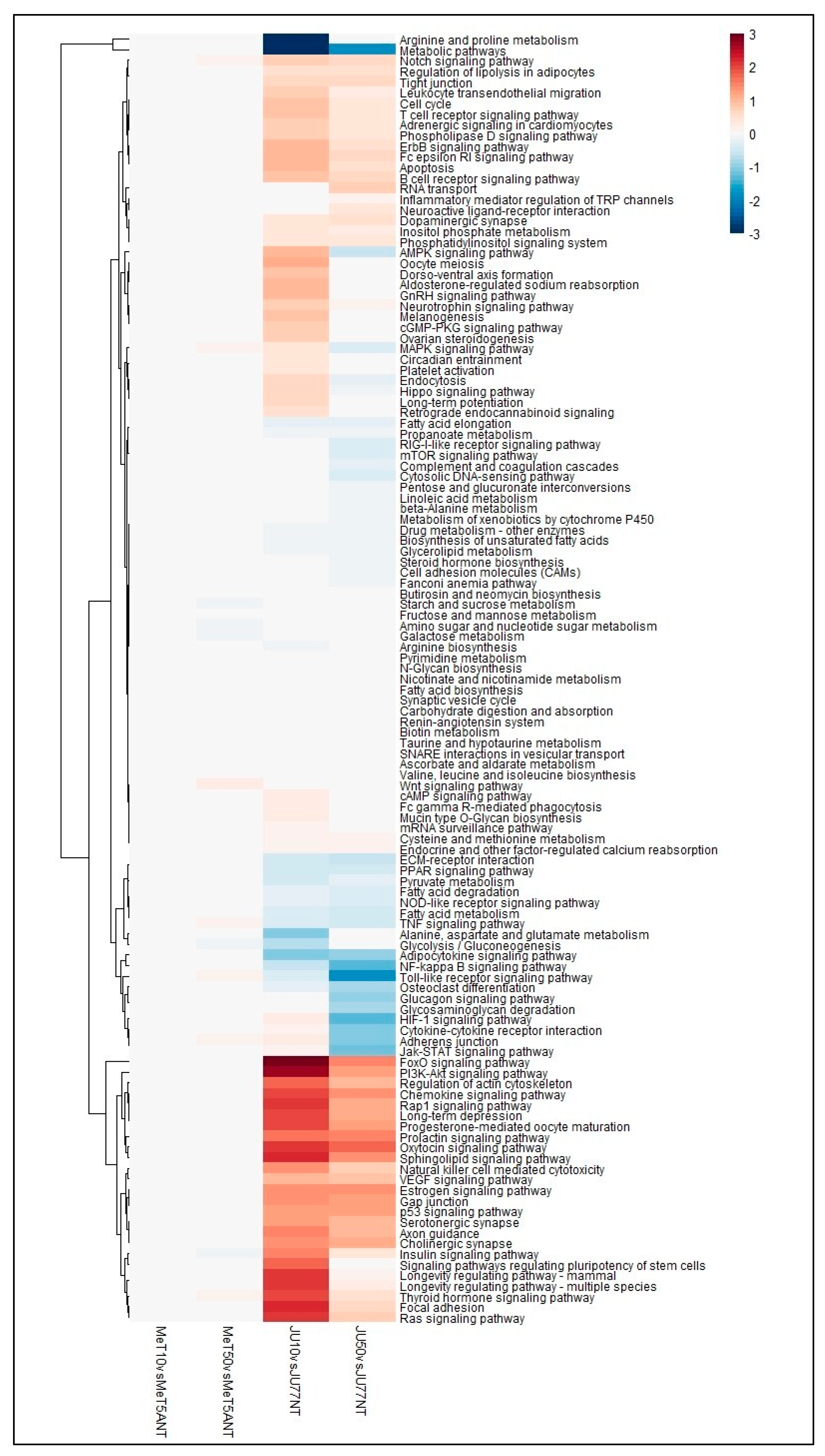 Biomedicines 11 00538 g005 Biomedicines 11 00538 g005