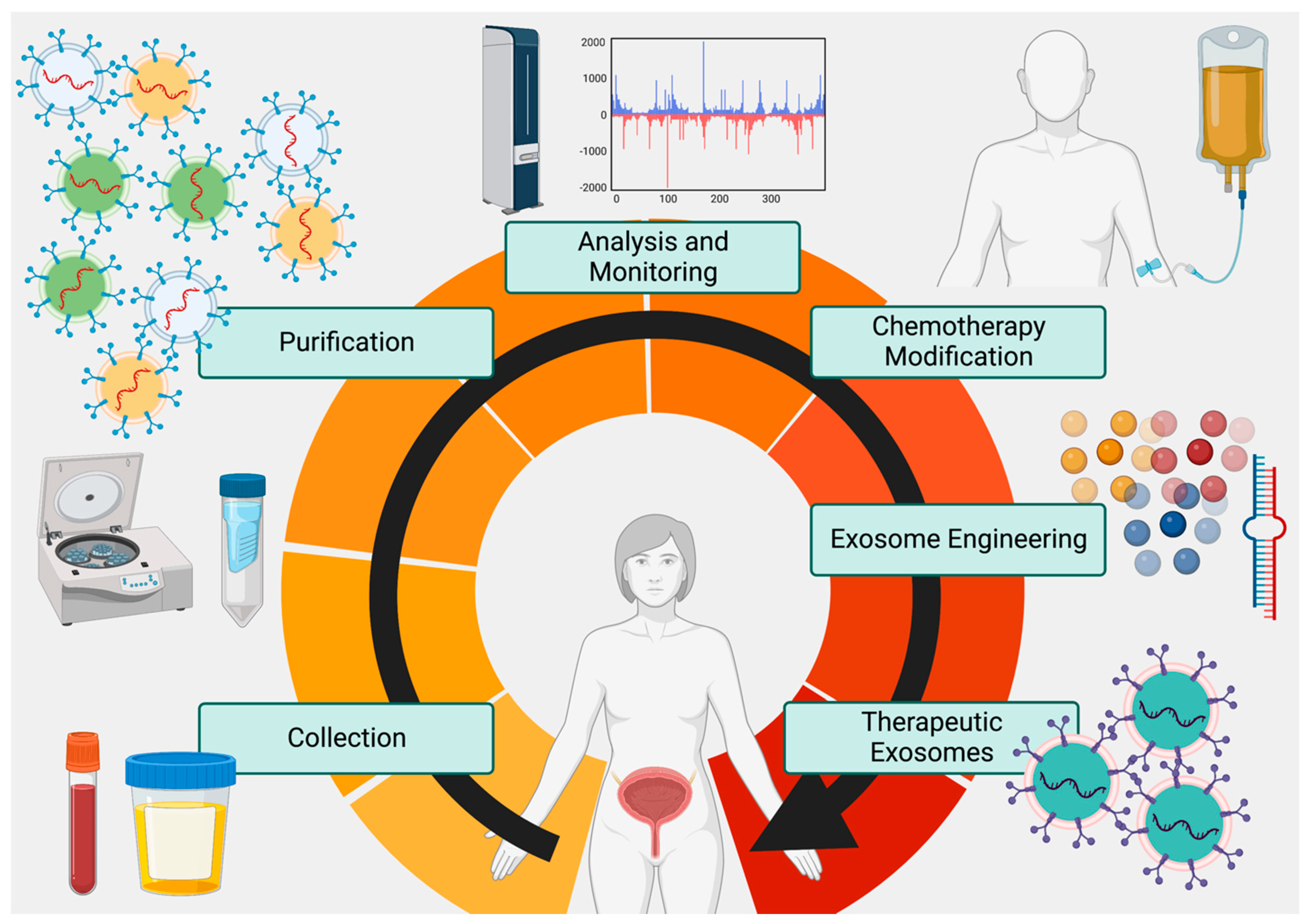 Biomedicines 11 00539 g002