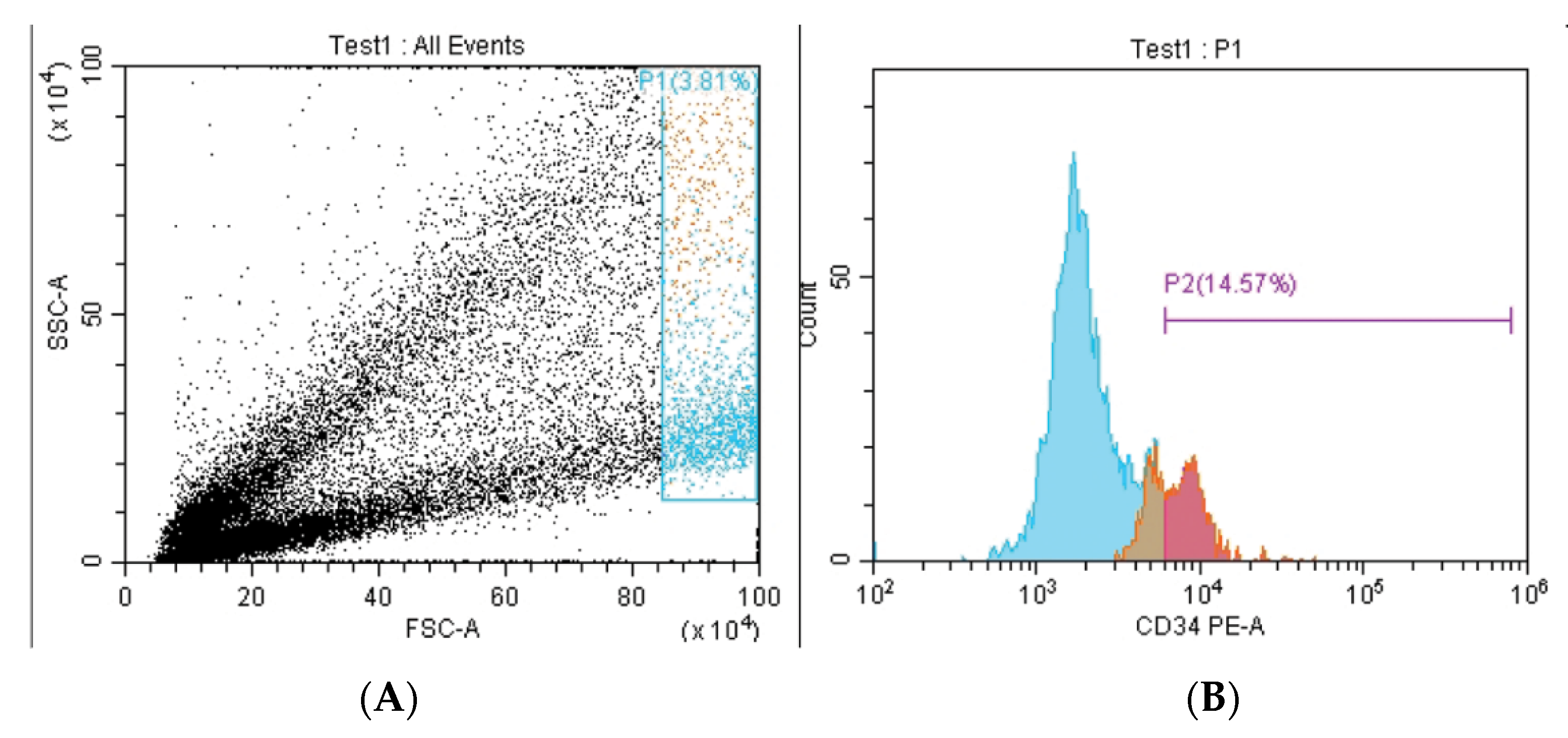 Biomedicines 11 00542 g002
