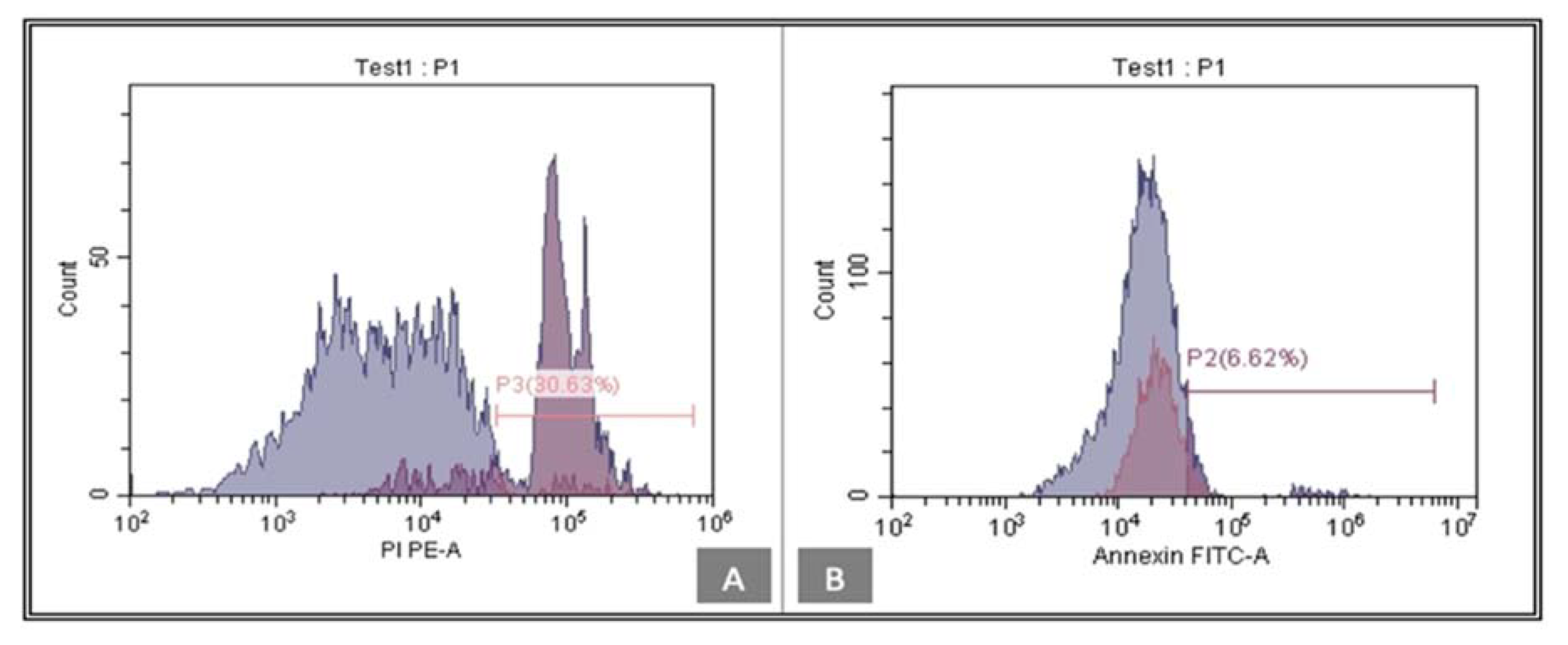 Biomedicines 11 00542 g006