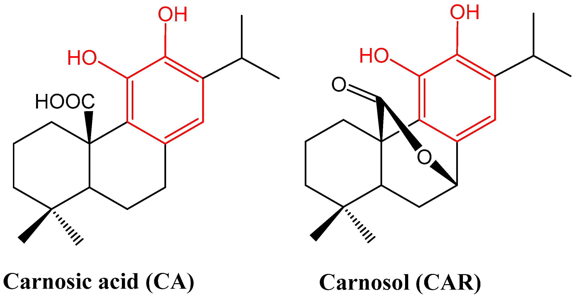Biomedicines 11 00545 g001