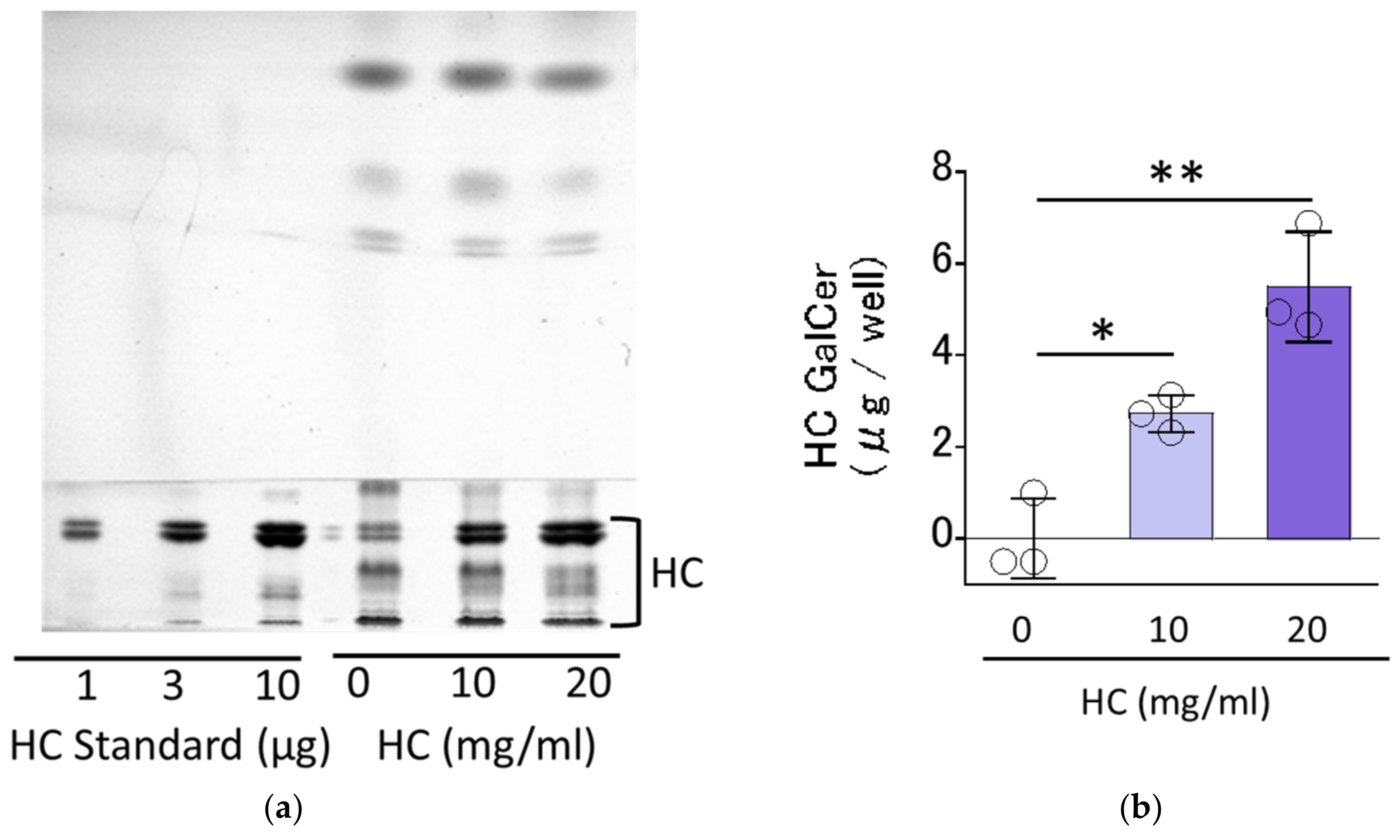Biomedicines 11 00548 g001