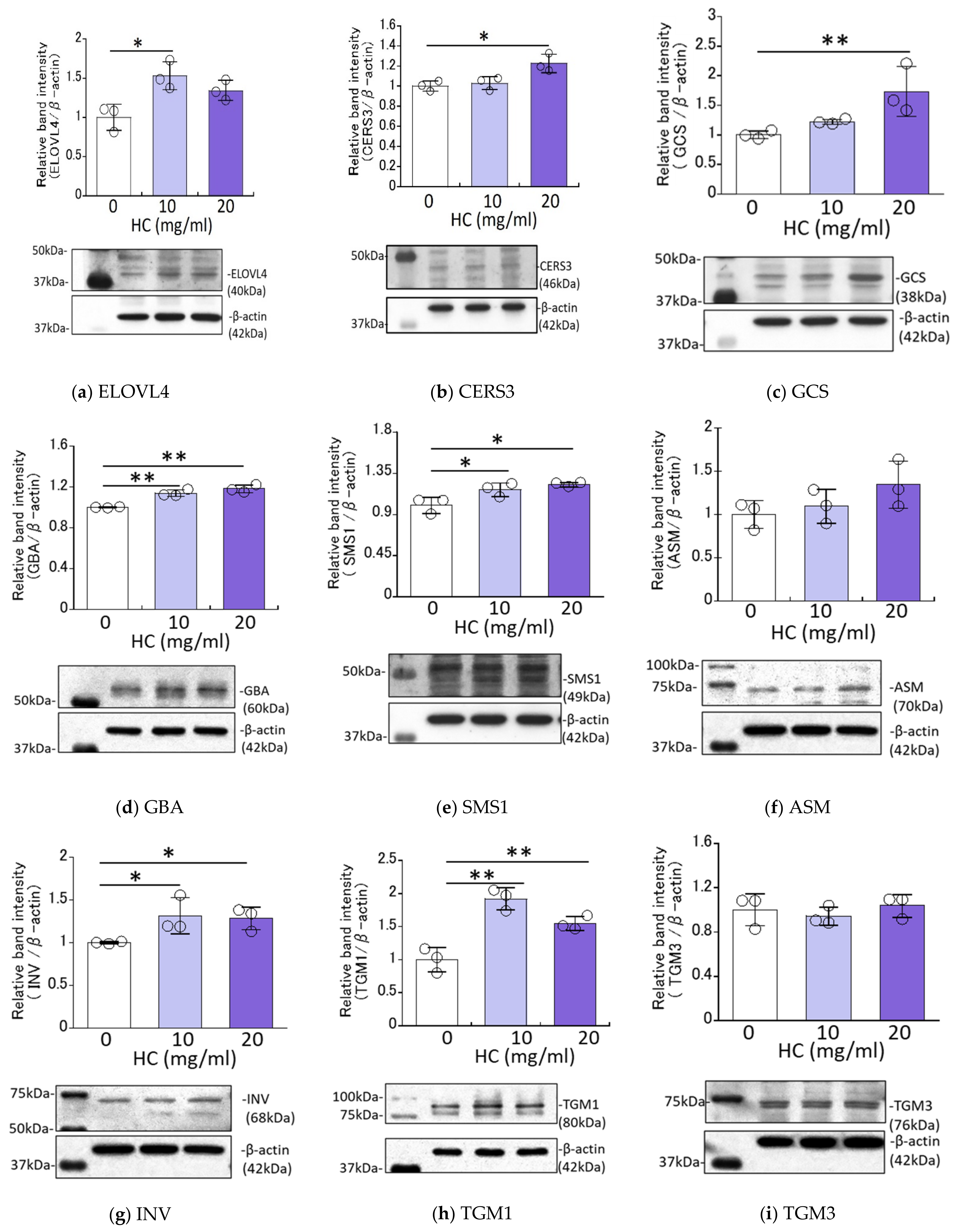 Biomedicines 11 00548 g004