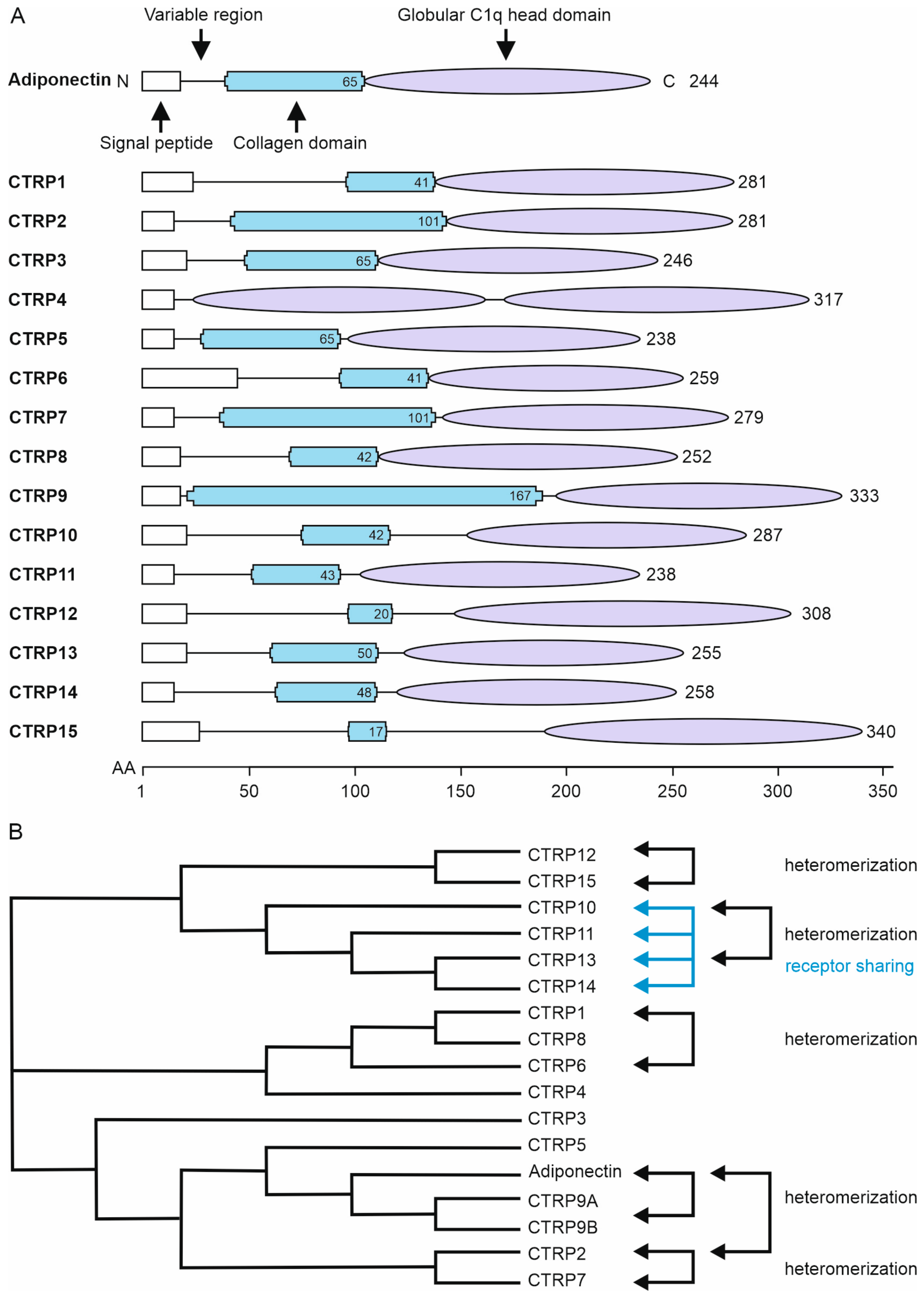 Biomedicines 11 00559 g001