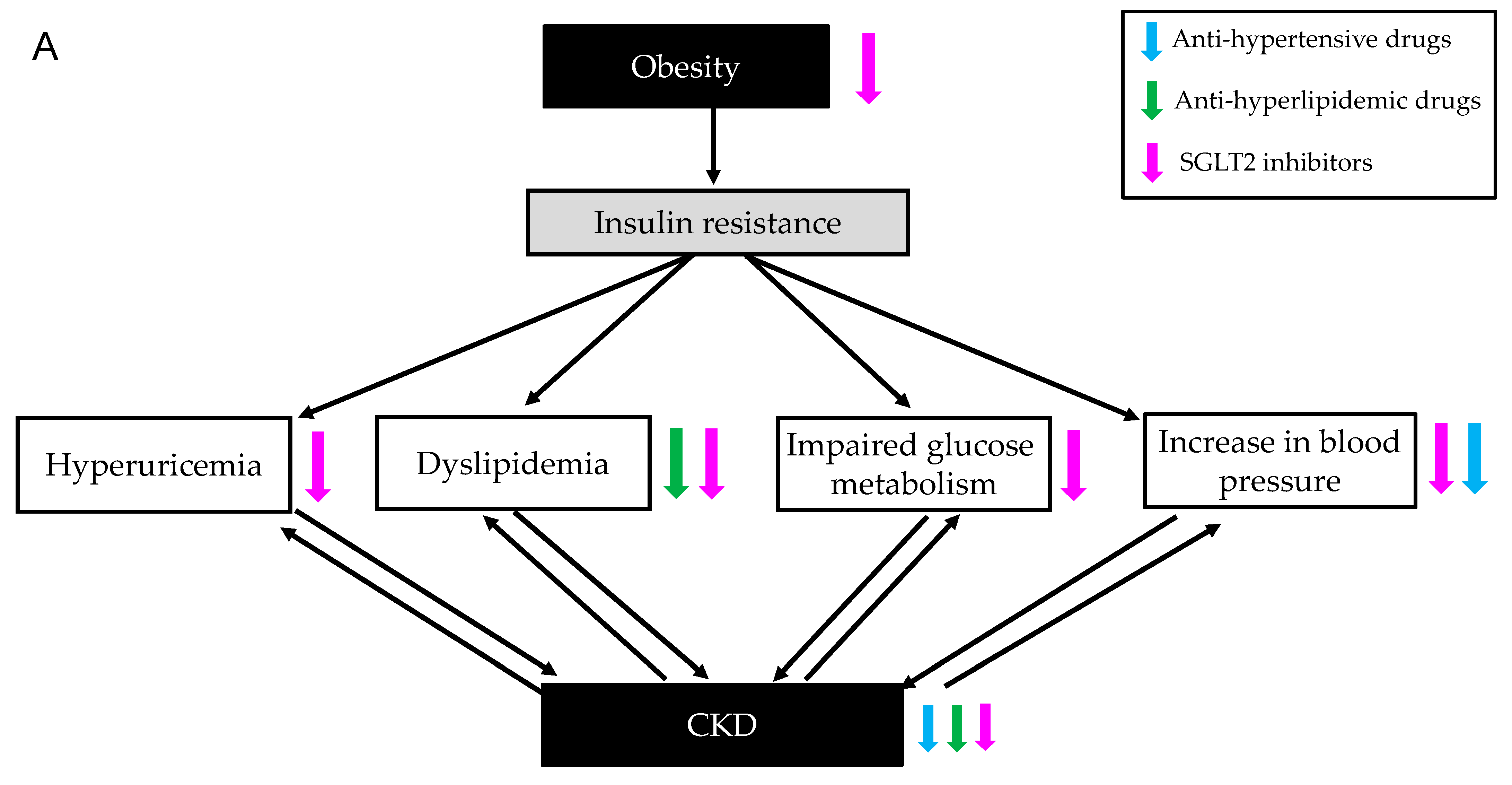 Biomedicines 11 00567 g009a