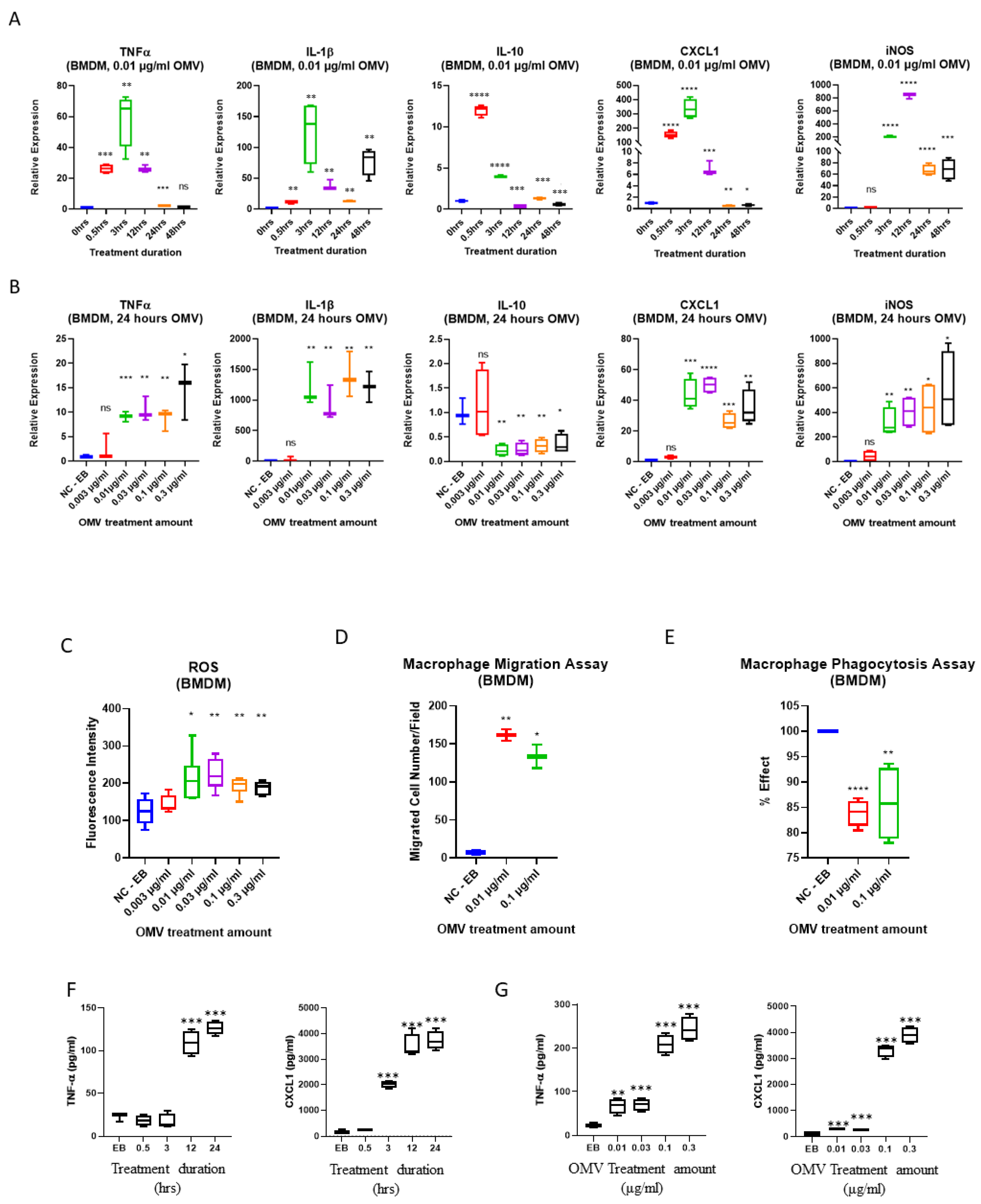 Biomedicines 11 00568 g002