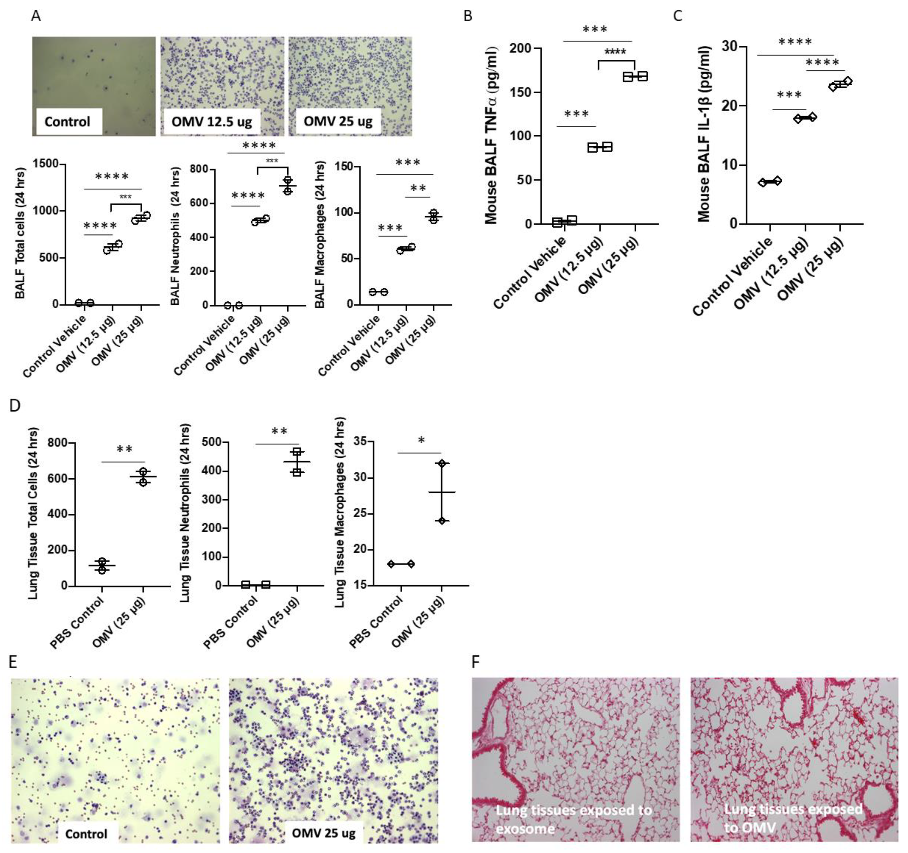 Biomedicines 11 00568 g003