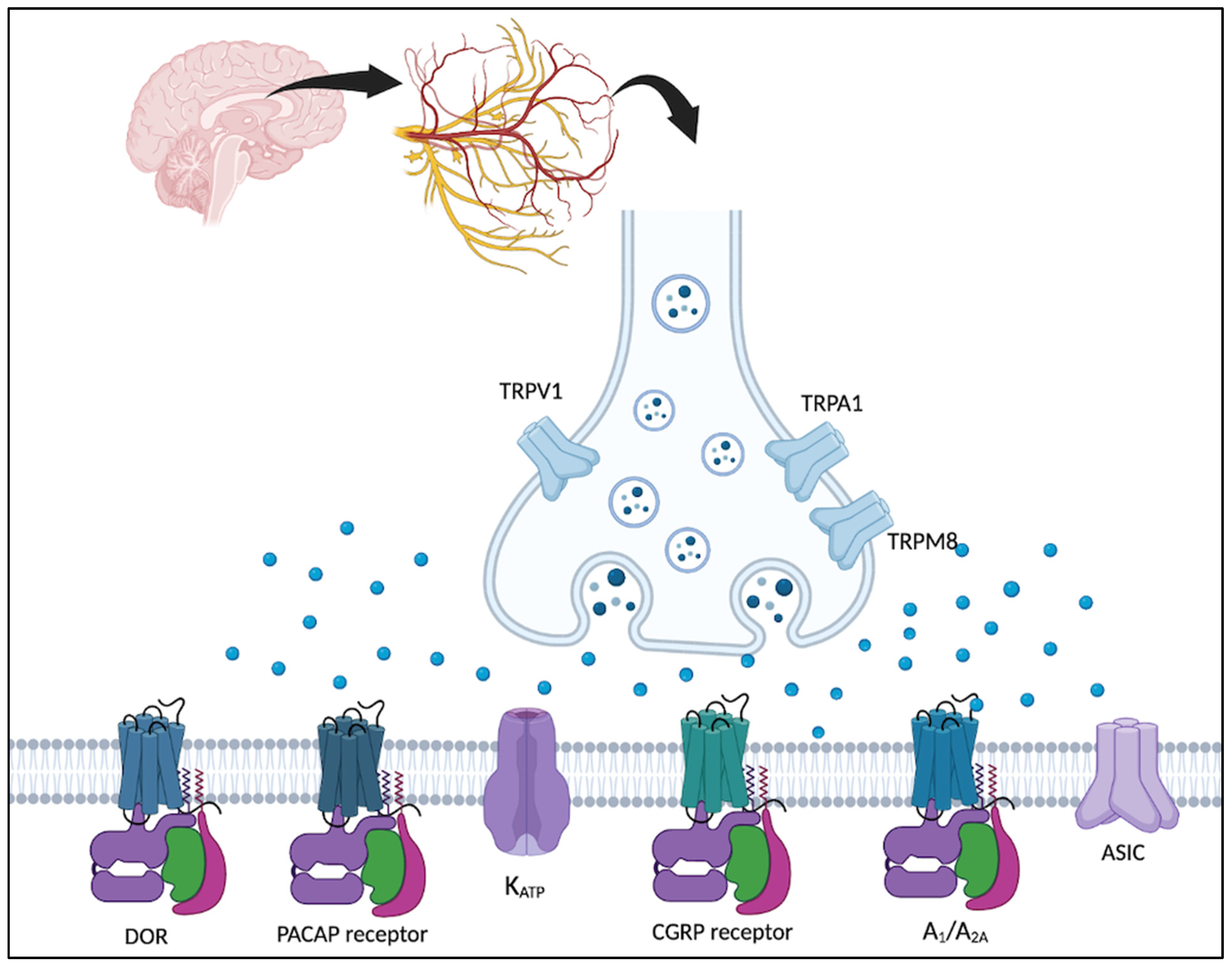 Biomedicines 11 00569 g001